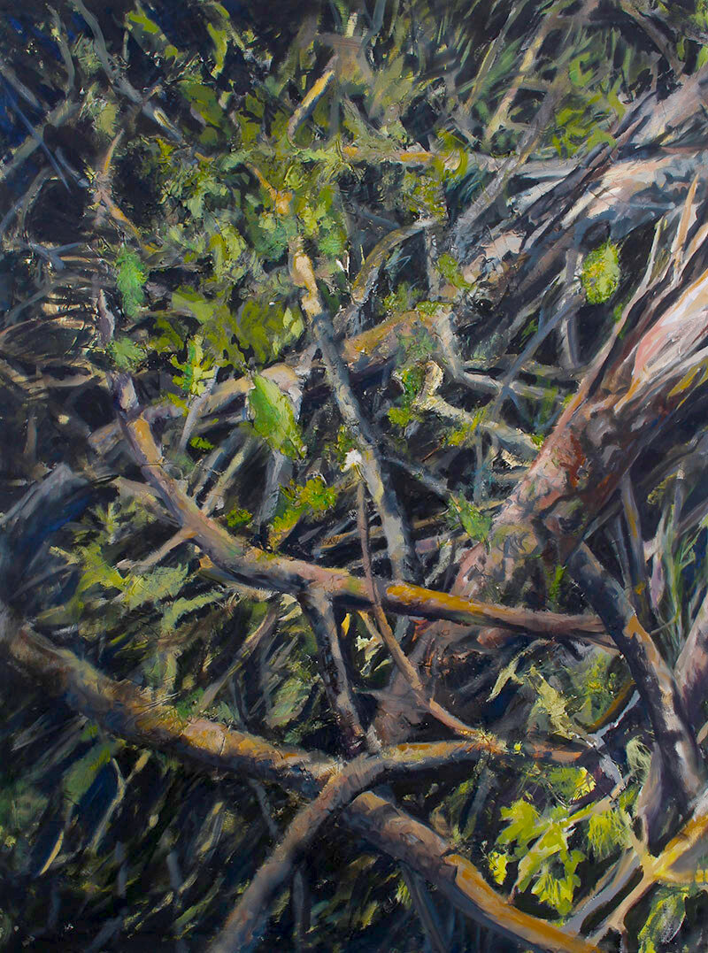 Development-VI-oil-on-canvas-54x72-Kurt-Thum AVAILABLE