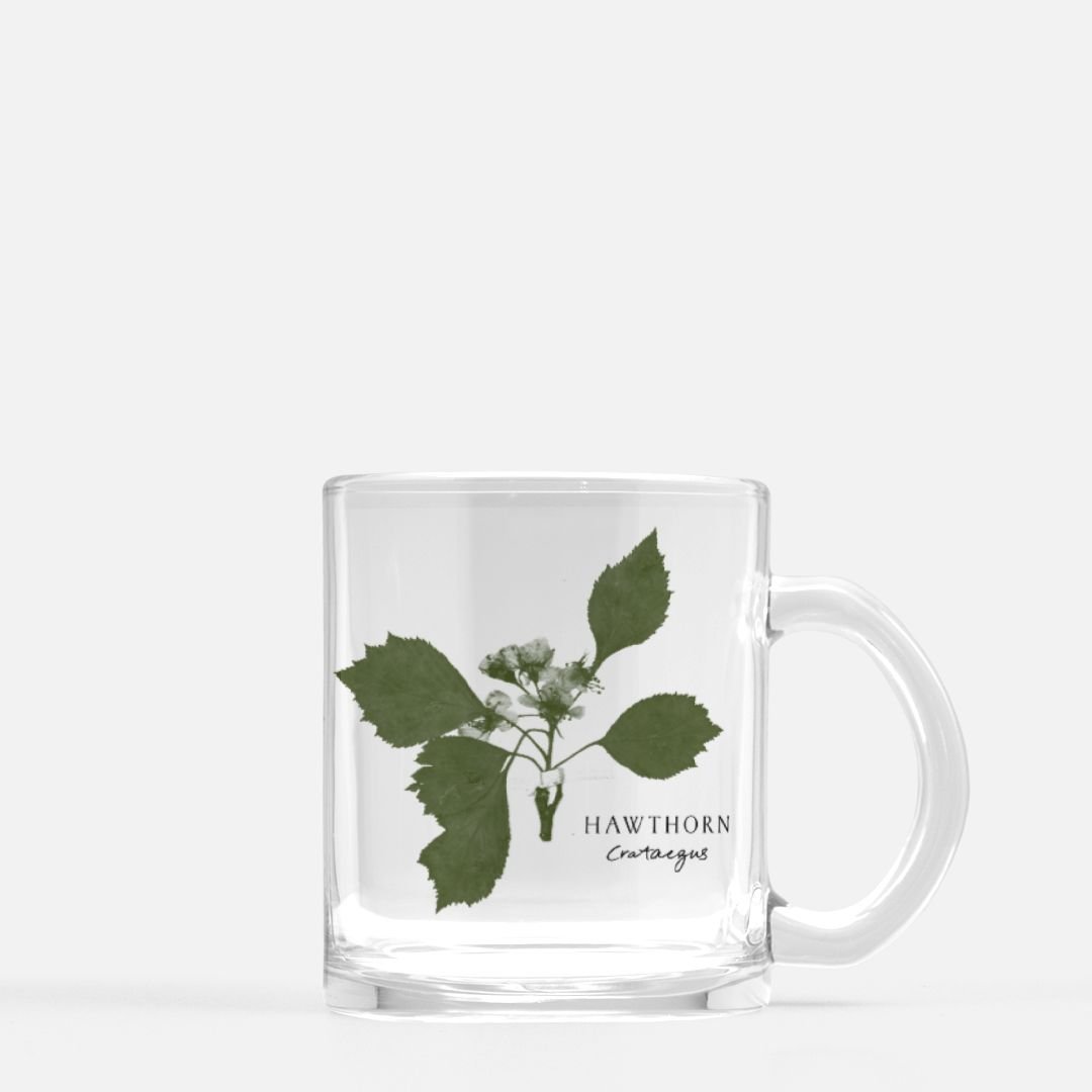 Mug-Hawthorn-Front.jpeg