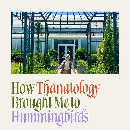 Fun hummingbird-related news I&rsquo;d like to share on this National Hummingbird Day! #nationalhummingbirdday2025