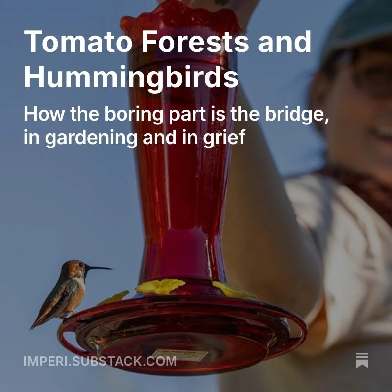A new post on my Imperi.substack.com today. This is about the tomatenwald in my backyard in Kentucky, hummingbirds, and that bridge between where you are interested in something but it&rsquo;s not yet a part of your life. It&rsquo;s about the wonderf