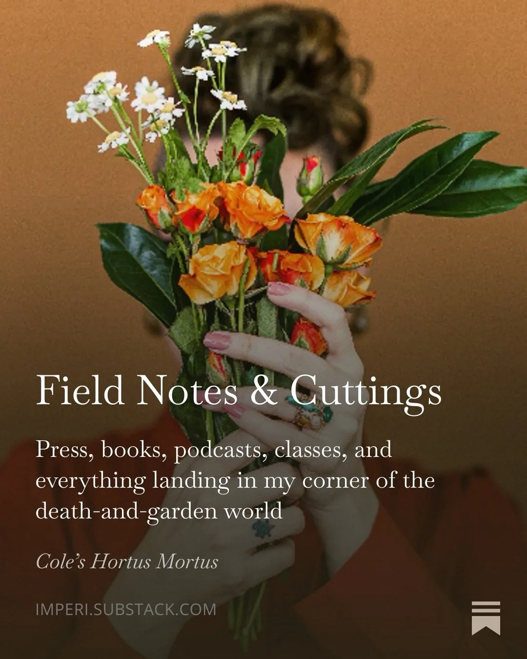 Field notes &amp; cuttings is a roundup of what I&rsquo;ve been up to. This went out last weekend and I wanted to share here, too. I feel really grateful to have my work referenced and shared so often, and even more grateful to get to support the wor
