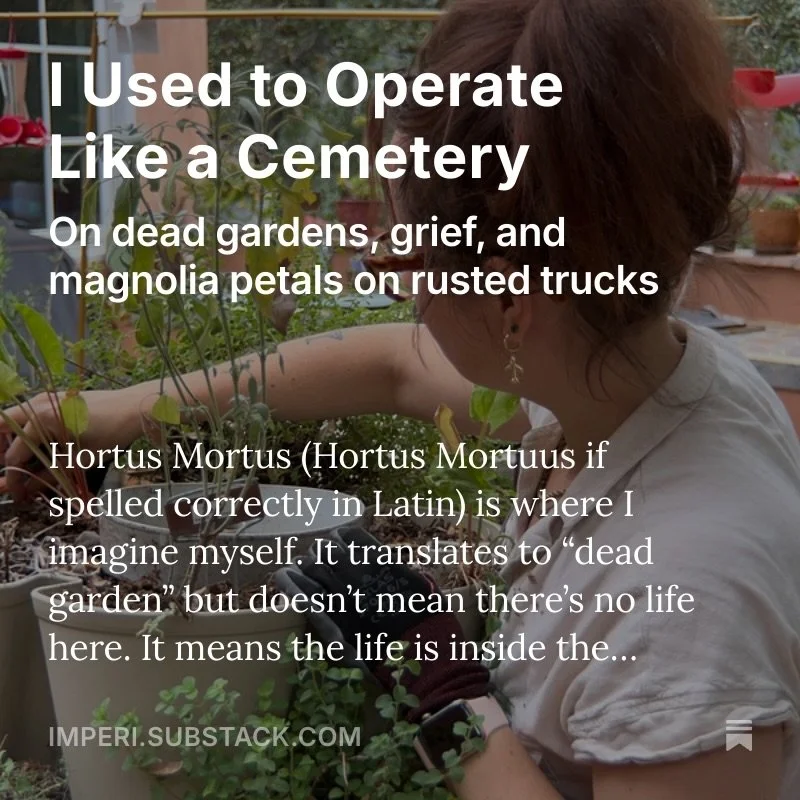 Good morning! A new piece is out today. Thanks for reading and subscribing.