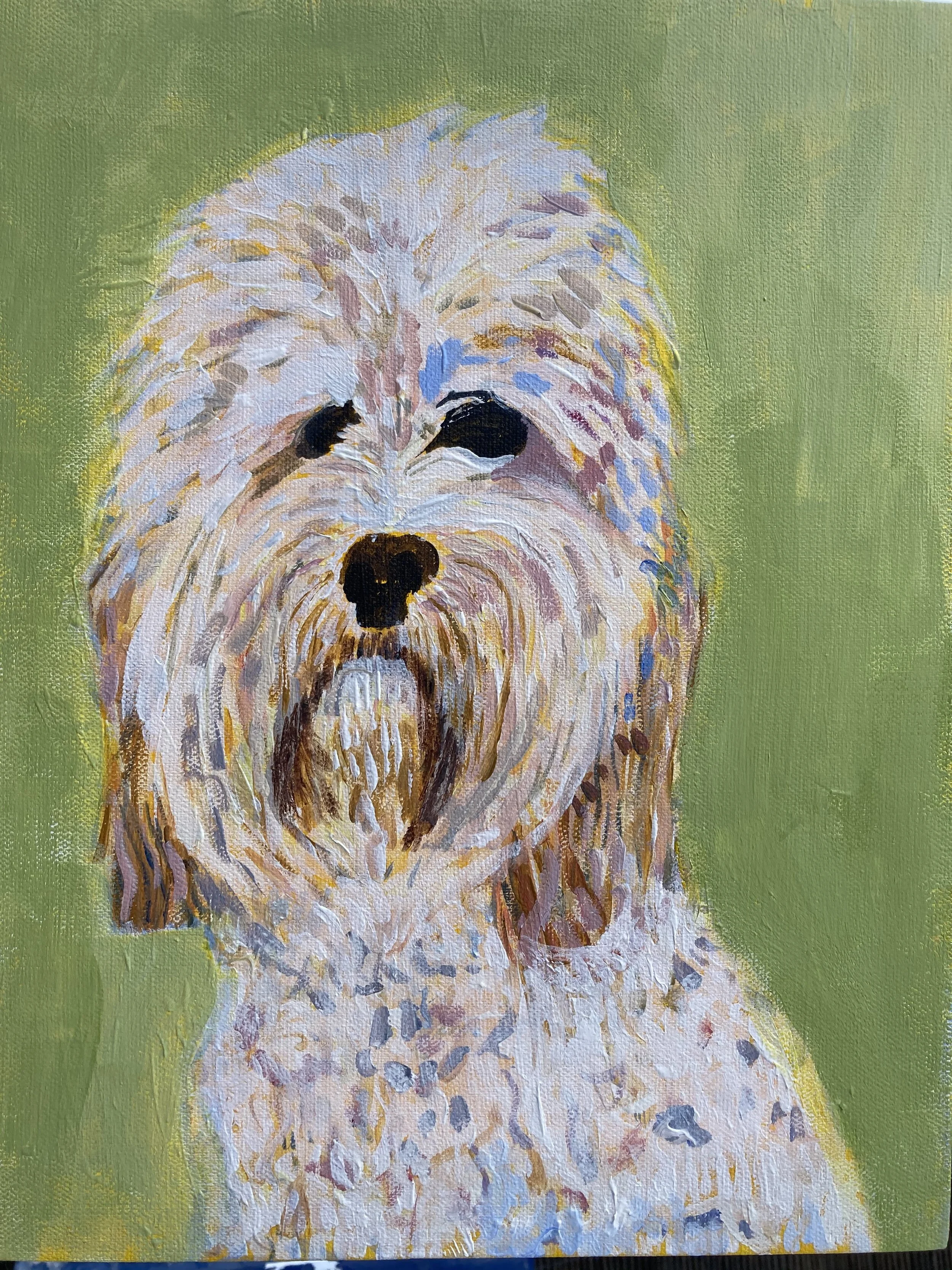 "Abbe" 11x14, acrylic 