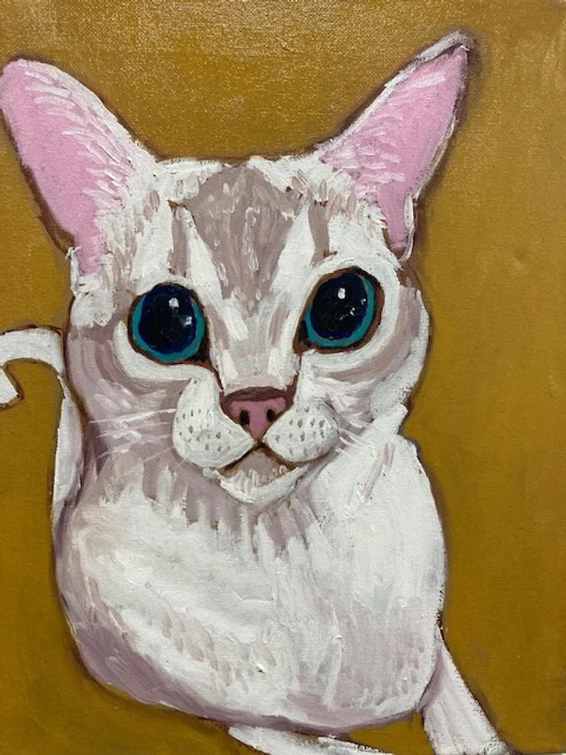 "albus" 11x14, oil 