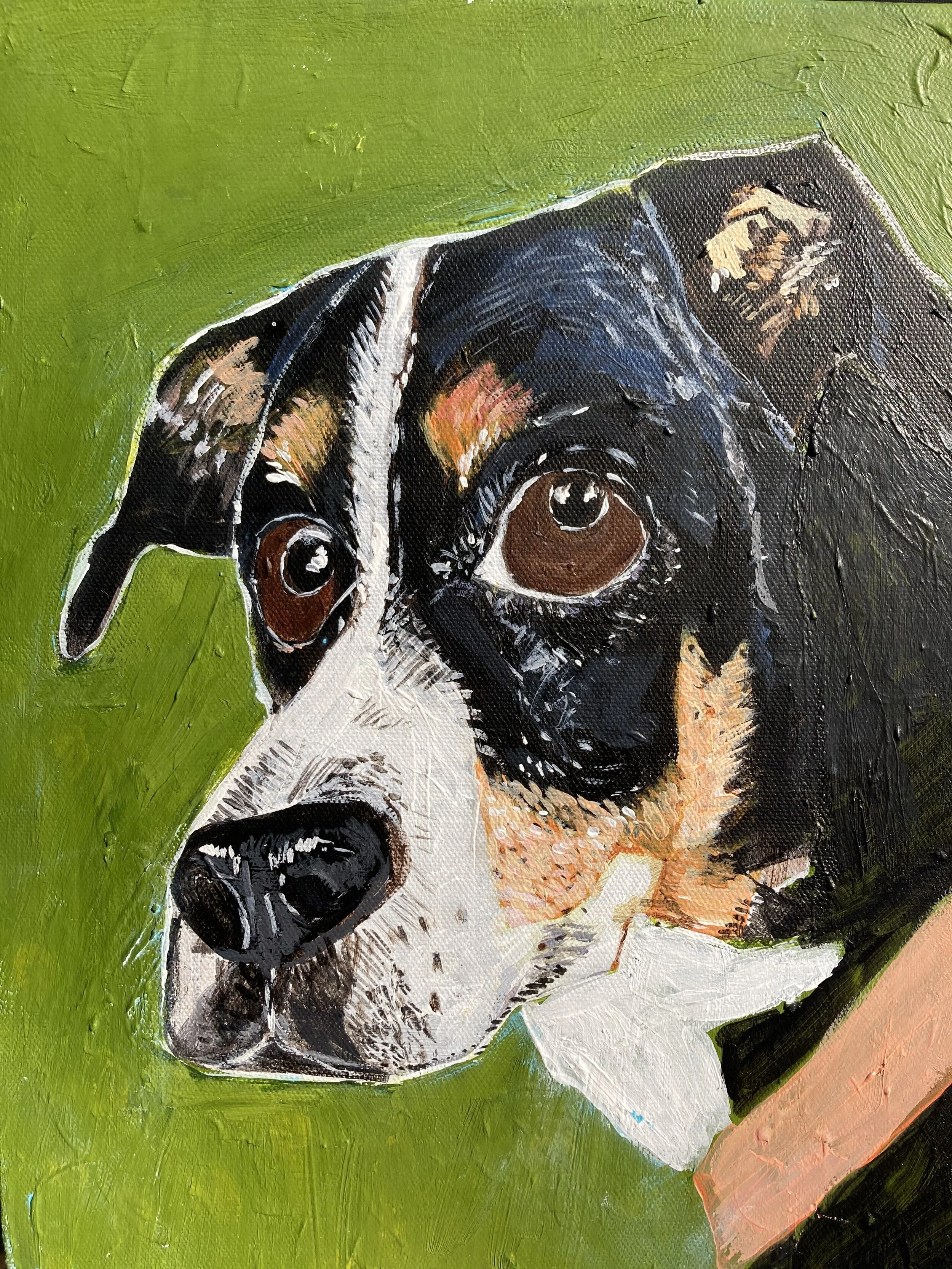 "BOB" 11x14, acrylic