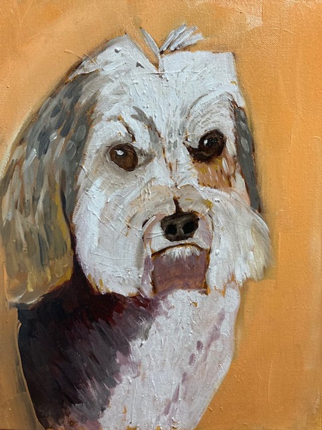 a doggie commision 11x14 oil