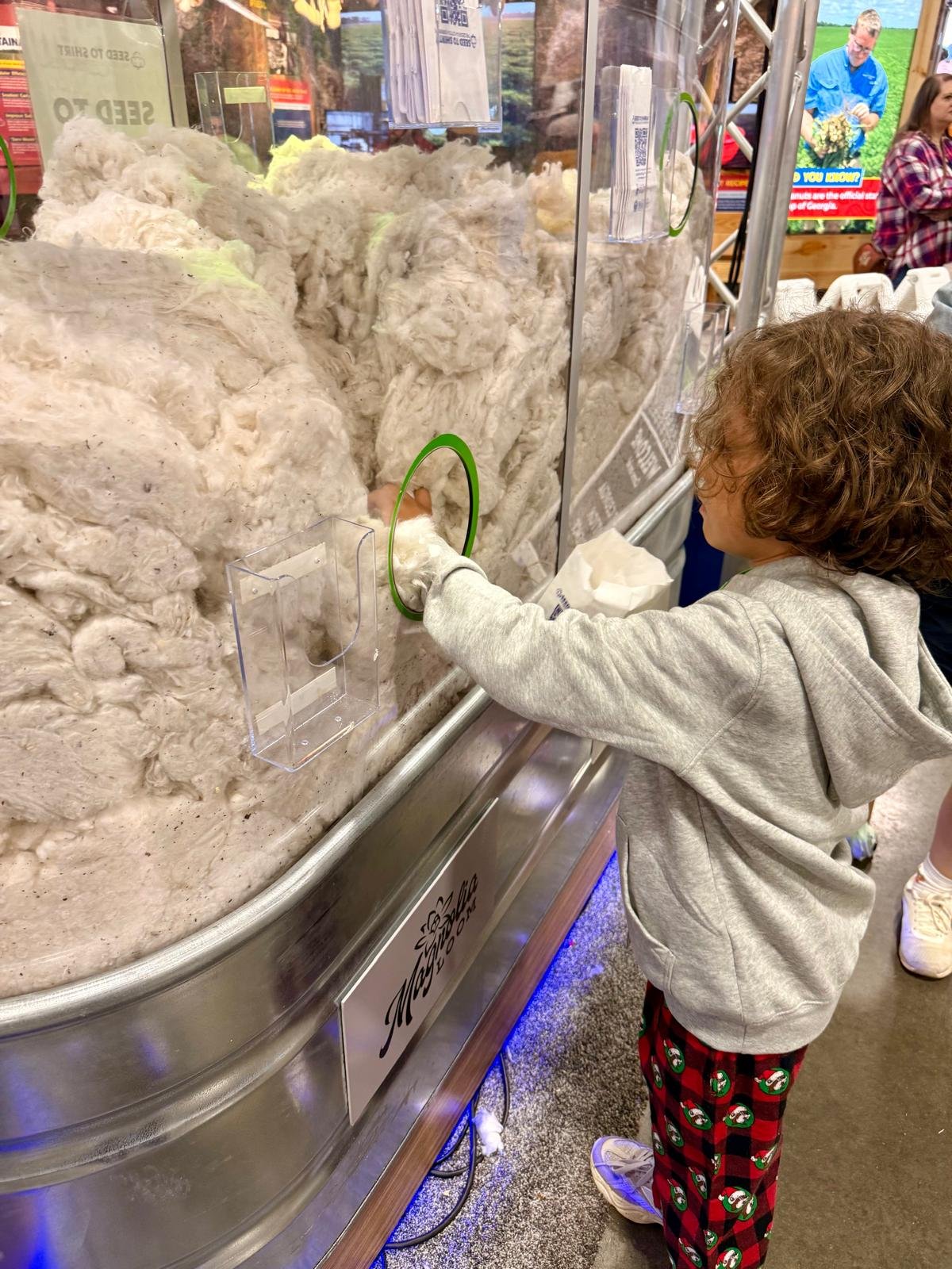 WhatsApp Image 2025-10-19 at 20.49.00.jpeg