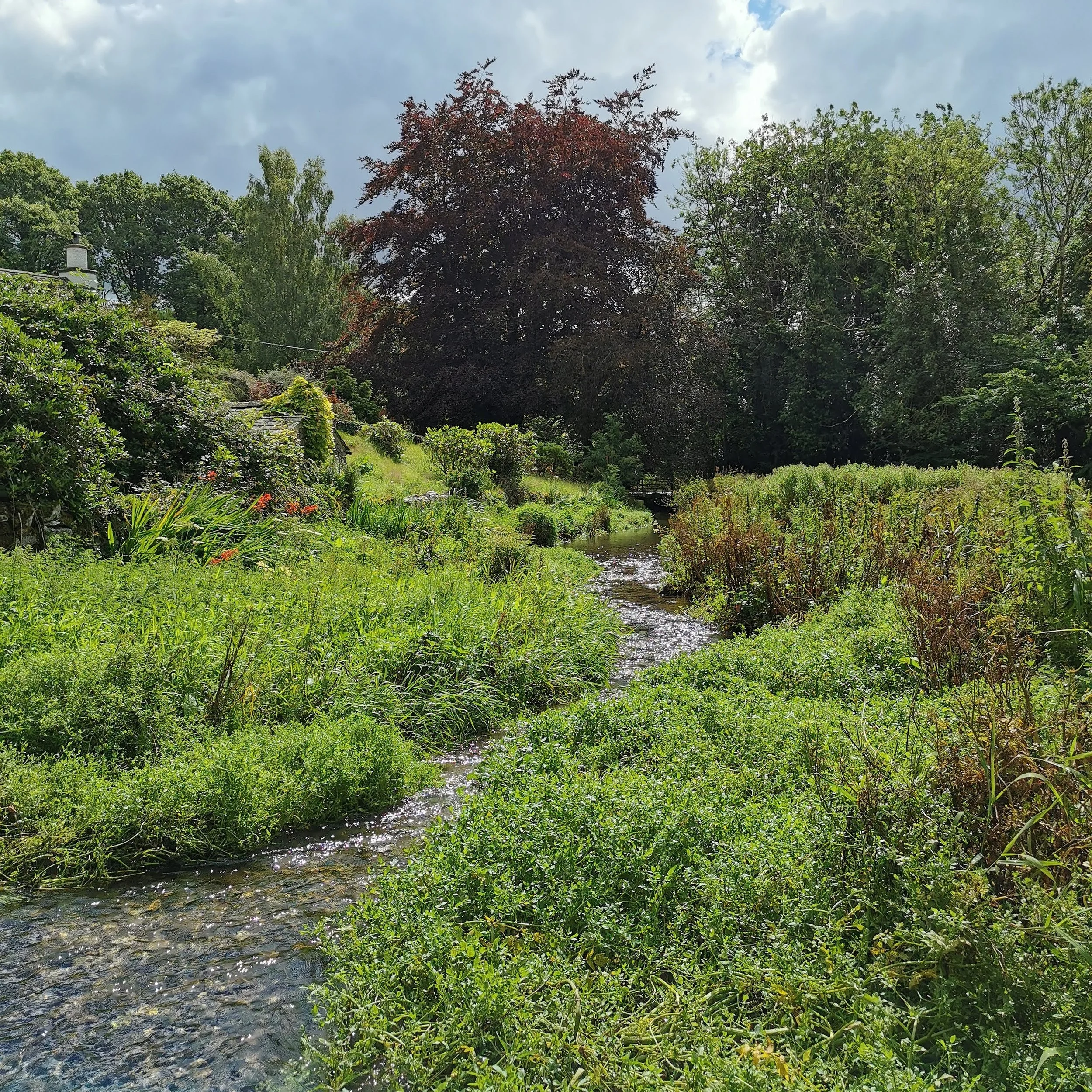 Managing BNG Risk: From Procurement to Long-Term Stewardship