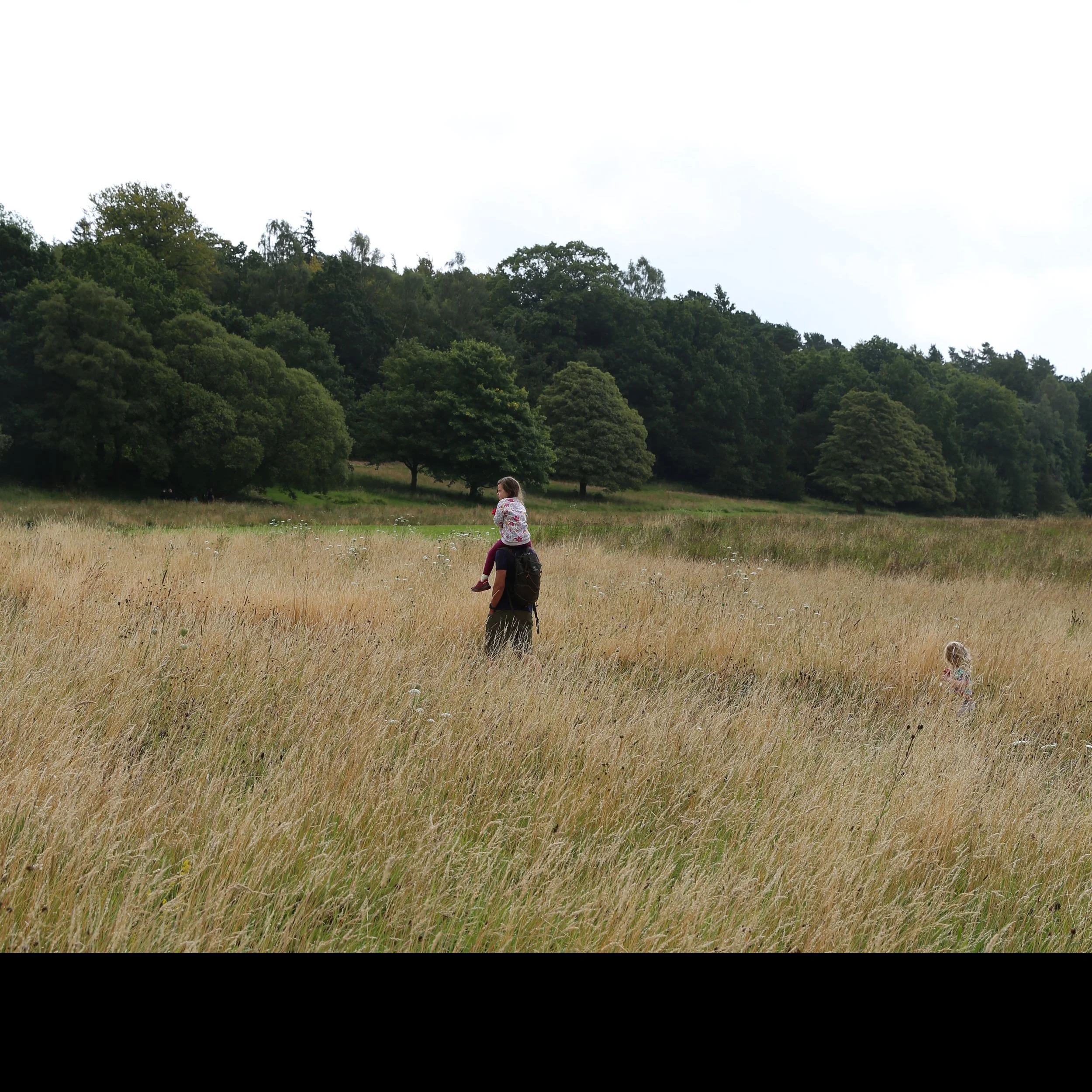 The Dynamic Landscape: Designing On-Site BNG That Works for People and Nature