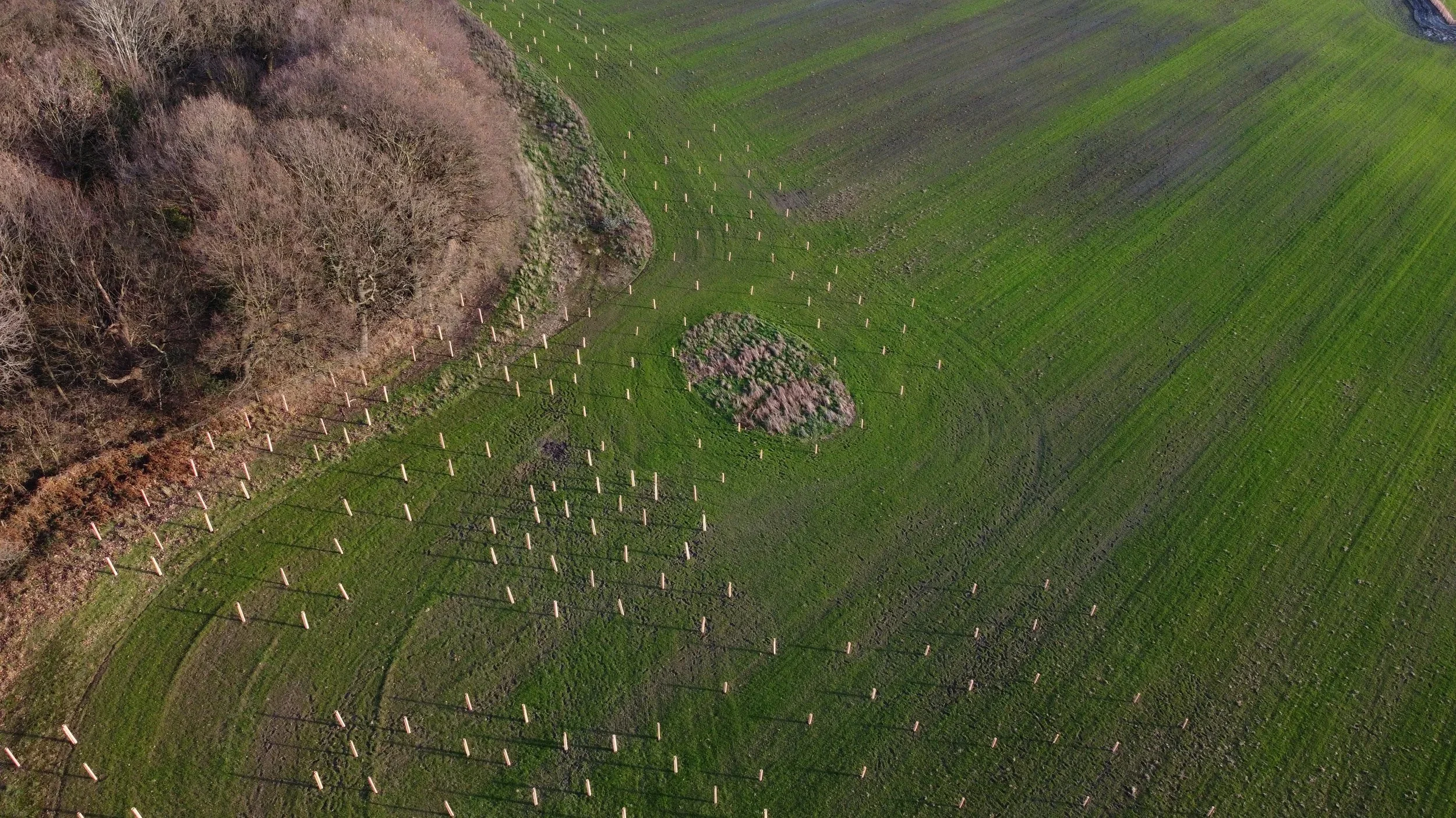 Kimberworth Habitat Bank: Best-Practice Biodiversity Net Gain Delivery in South Yorkshire.