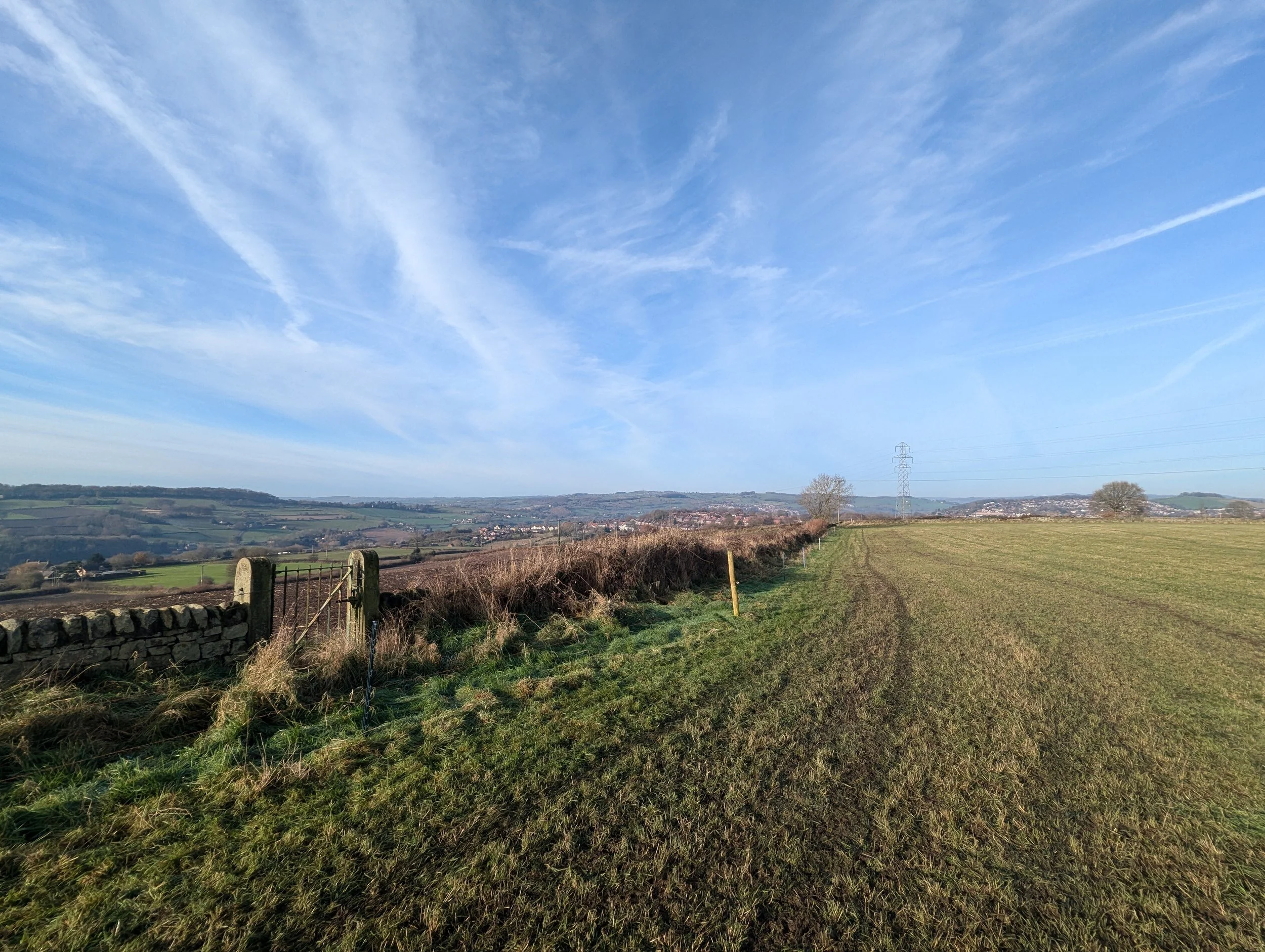 Belper Habitat Bank: Biodiversity Net Gain in Amber Valley, Derbyshire