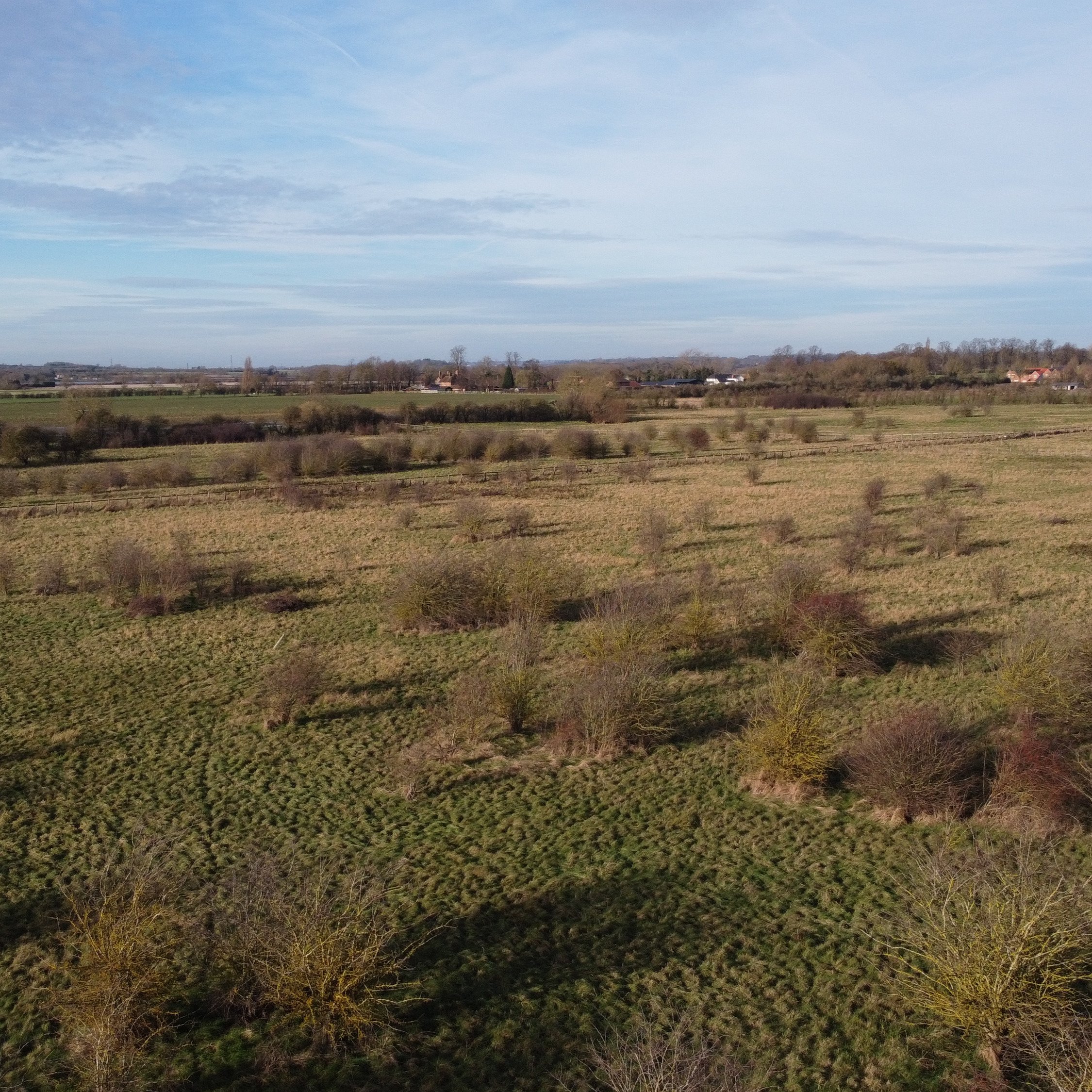 Langar Habitat Bank: Biodiversity Net Gain in Nottinghamshire’s Stroom Dyke Corridor