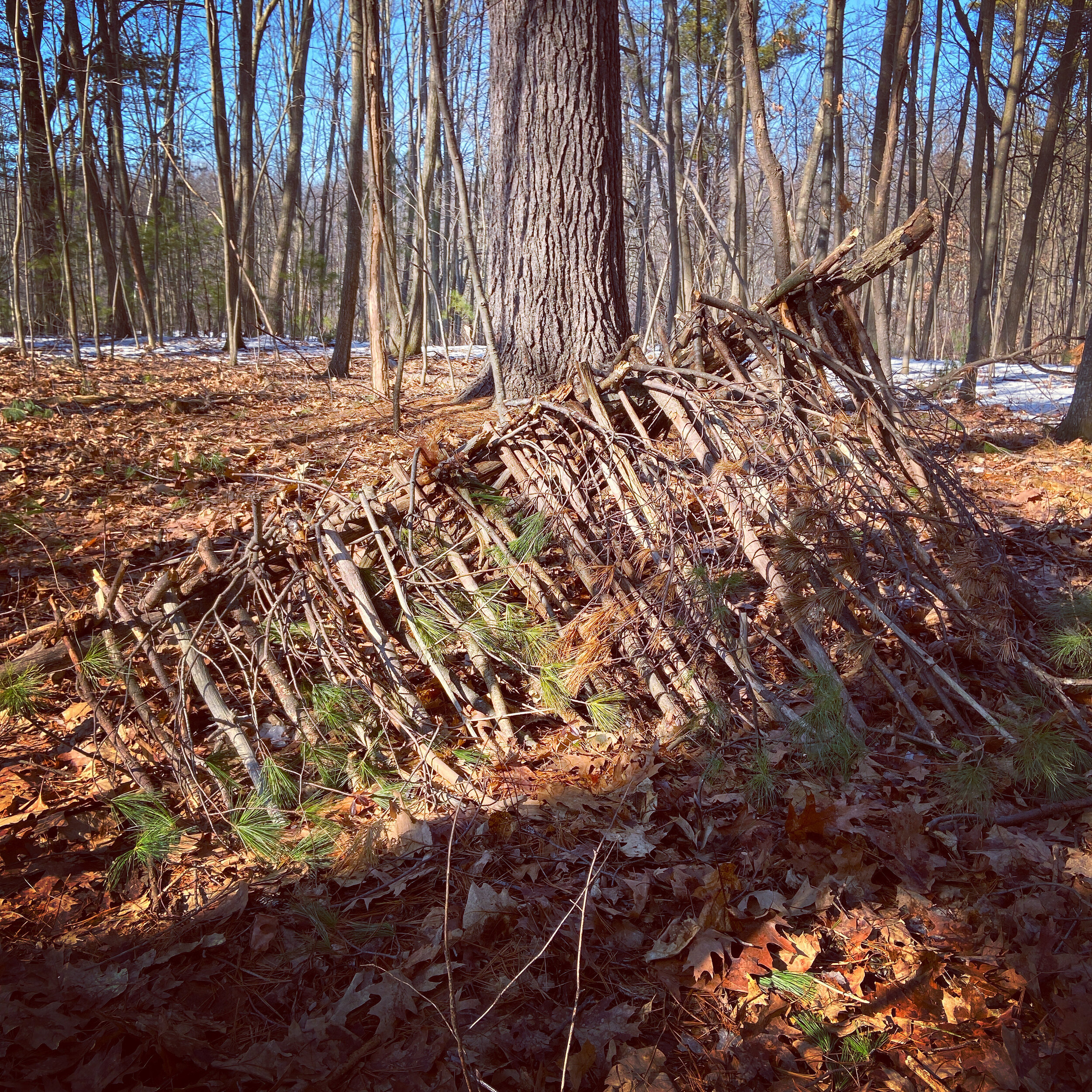 Debris hut fram