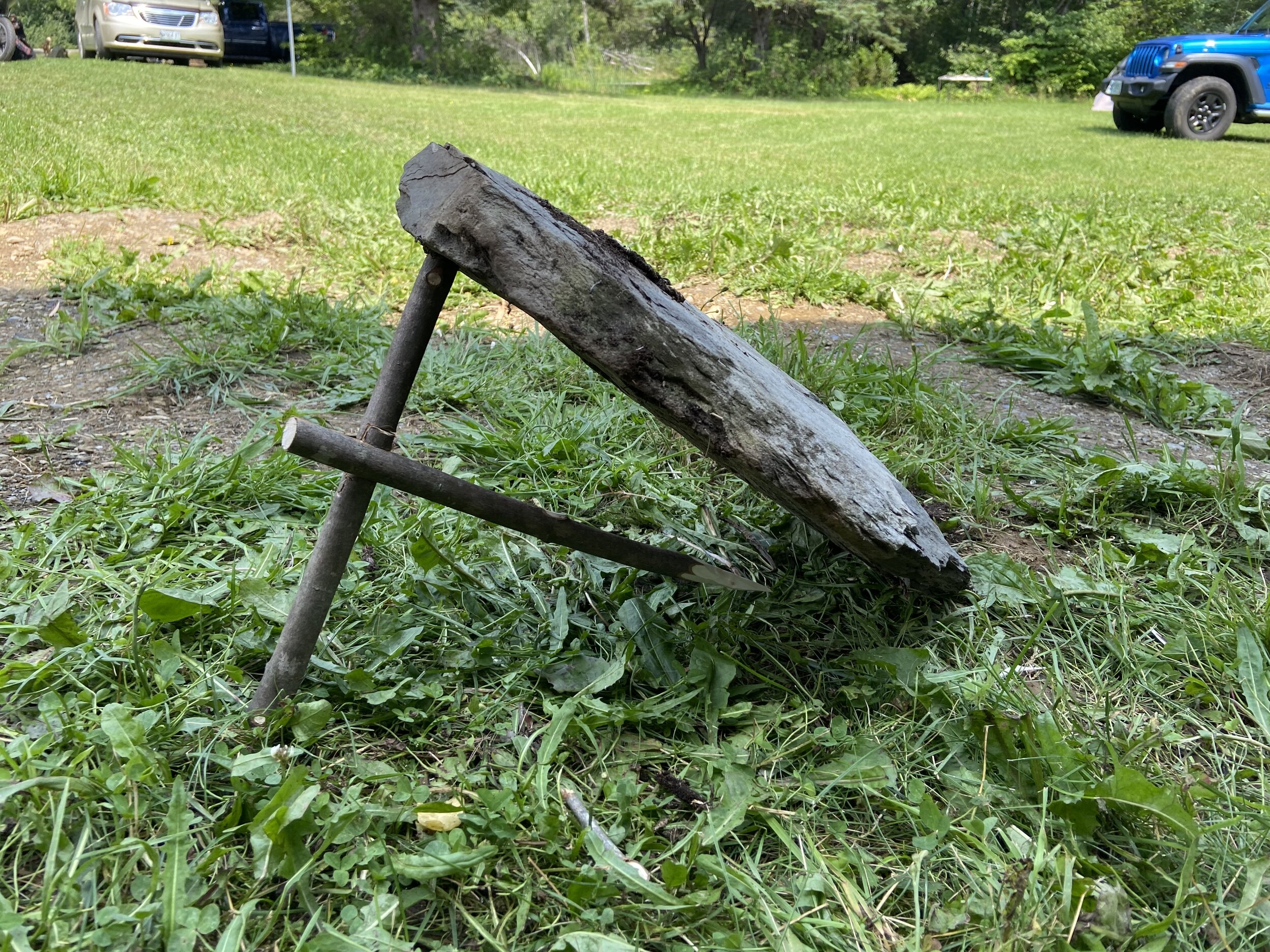 Promontory peg deadfall trap