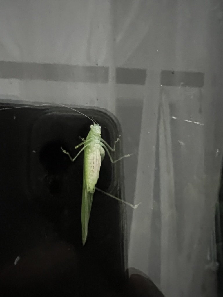 Lab_8DC5A90F-7778-42BC-AAFD-434090F2FAA7_1_105_c.jpeg
