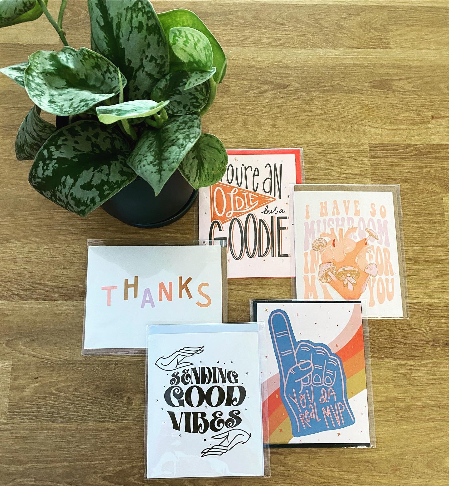 Just in! An assortment of @13tumbleweeds cards for all kinds of gift giving occasions. If you&rsquo;re in need of a gift, consider a houseplant and cute card to go with it. We&rsquo;ll even help you pick out just the right plant friend for your speci