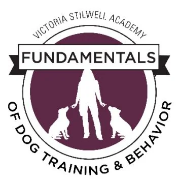 Screenshot 2024-03-11 at 11.34.57 AM.jpg