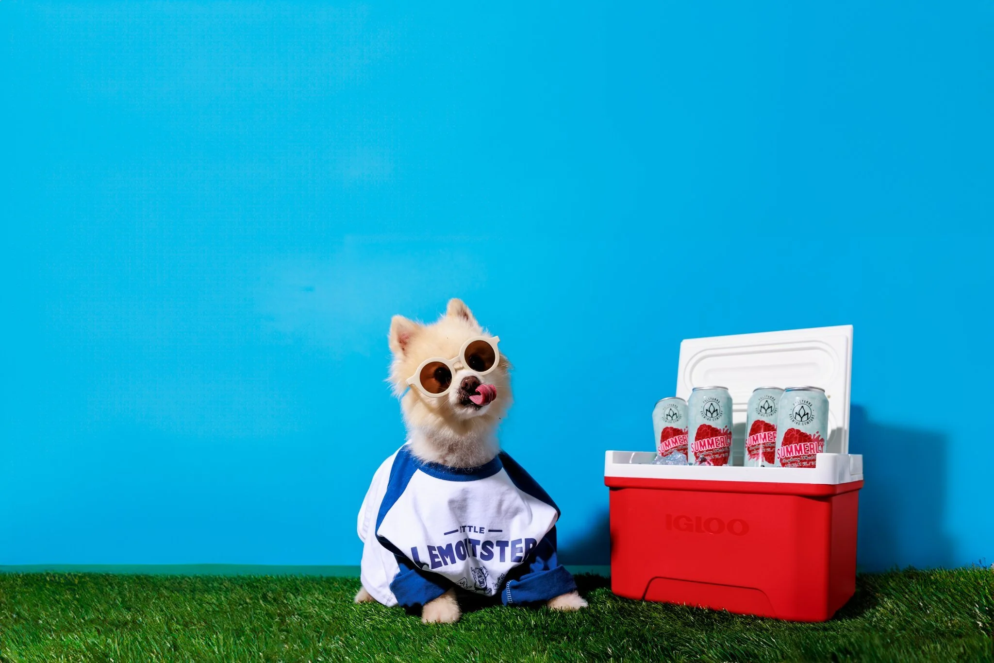 It's time for the Downtown Digest, and we're gearing up for the busy spring and  this Saturday, April 25, from 10-1PM
✨ Make plans for the Grand Opening of Athens Park hosted by Lemont Park District this Saturday, April 25 from 10-1PM
✨ Grab your tic