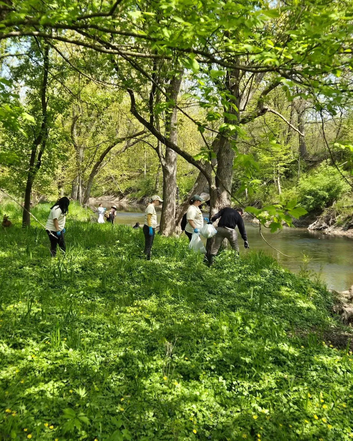 Team up with @friendsofthechicagoriver and The Wilder World Trust for Chicago River Day on Saturday, May 9  from 9 AM - 12 PM at Centennial Trail!

Volunteer to improve the Chicago-Calumet River system by collecting litter, removing invasive species,
