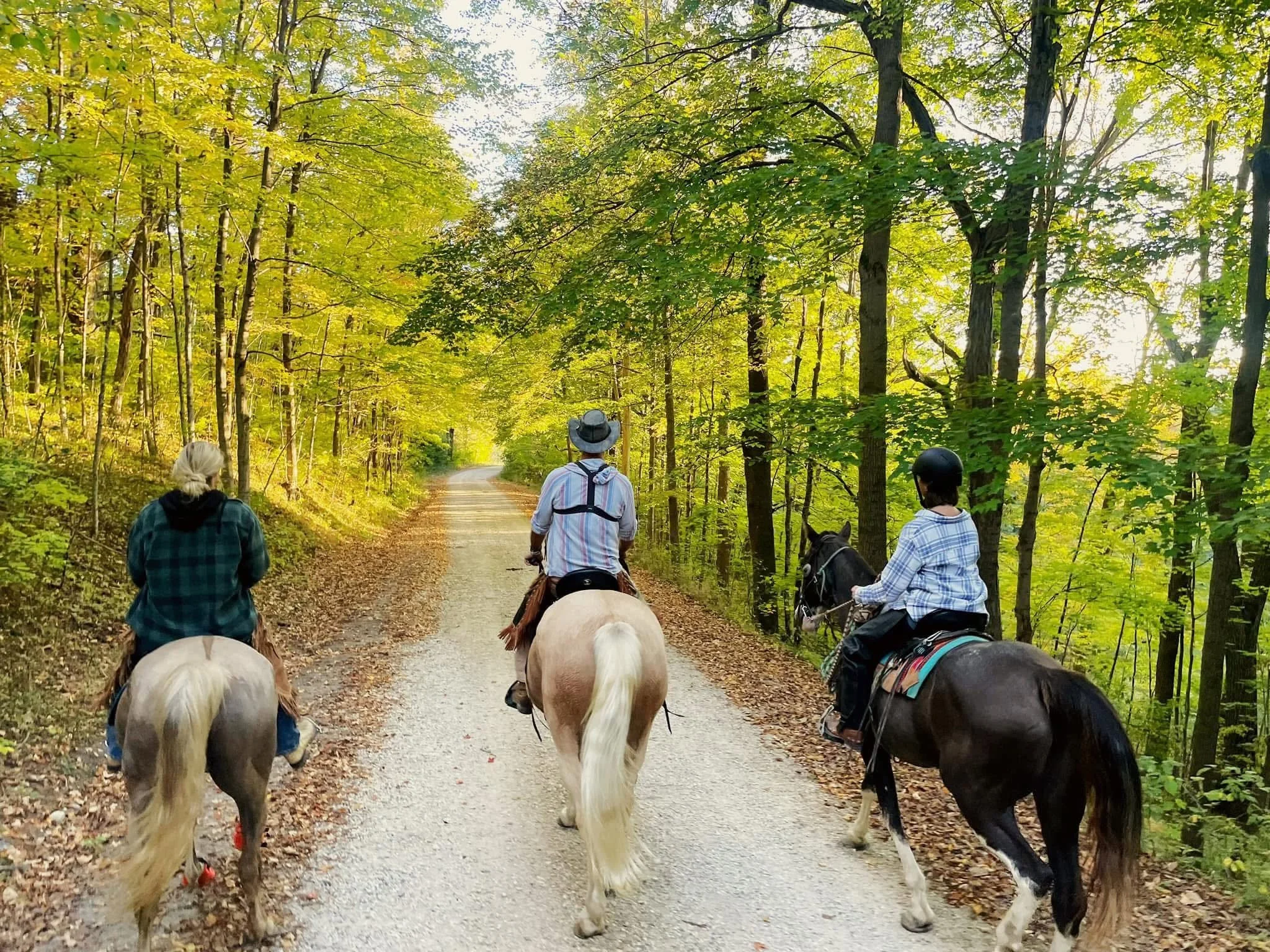 Where to Go Horseback Riding Near Lemont
