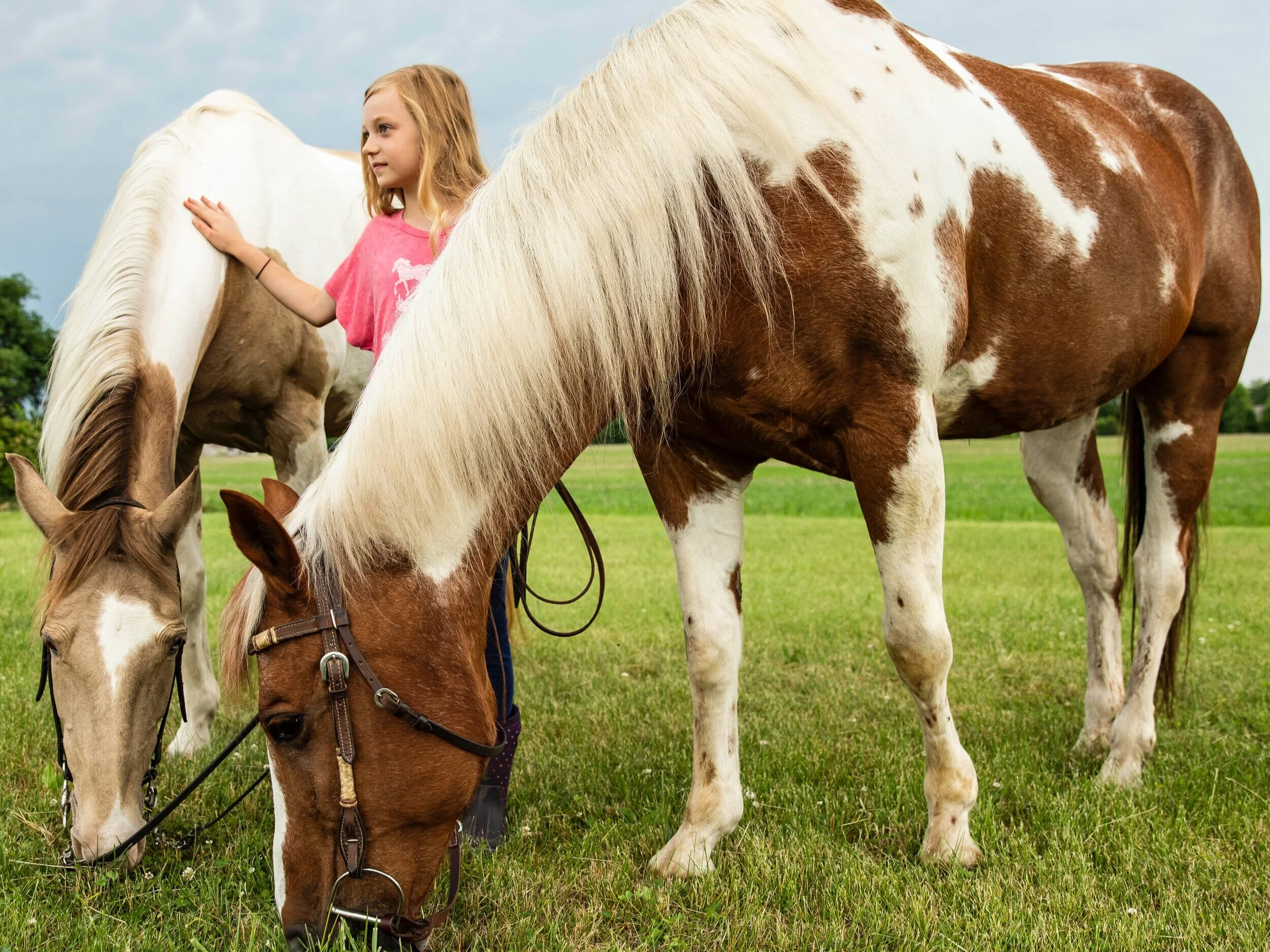 A photo of a young girl petting two horses in the grass at Legacy Ranch in Lockport, Illinois - close to Lemont, Illinois.