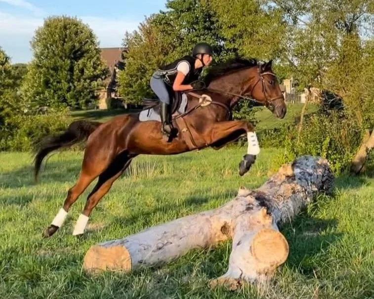 A photo of horseback riding at Chasing Dreams Equestrian in Lemont, Illinois.