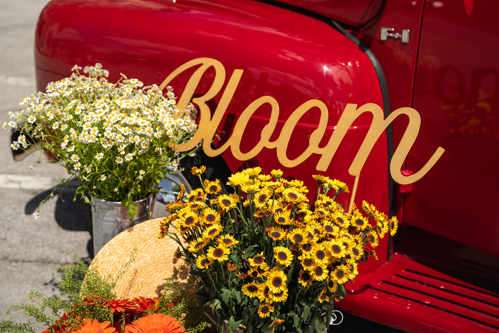 Sign that says bloom next to buckets of flowers and a red truck.