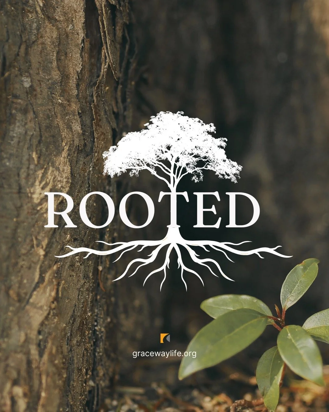 Join us this Sunday for our new Sermon Series, Rooted.
Worship with us Sundays at 10am PST in person or online at gracewaylife.org/live