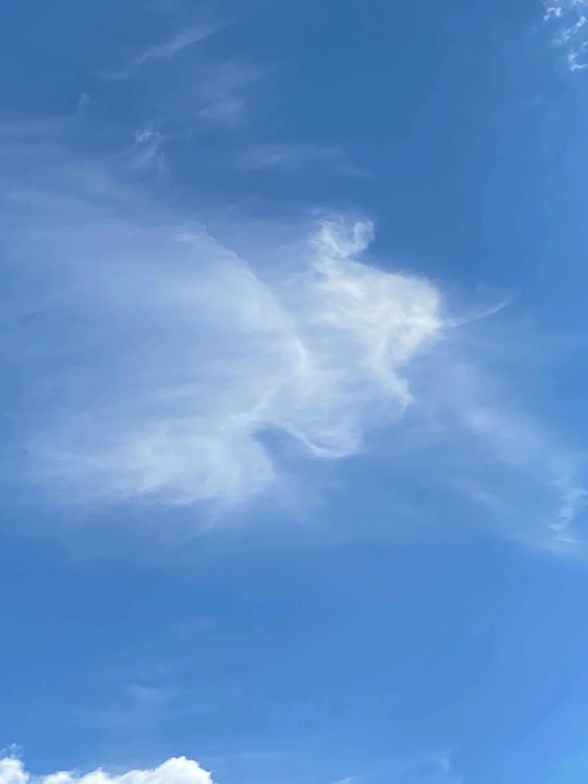Cirrus intortus over Albury, NSW.  Photo cred: Jodie Blackshaw