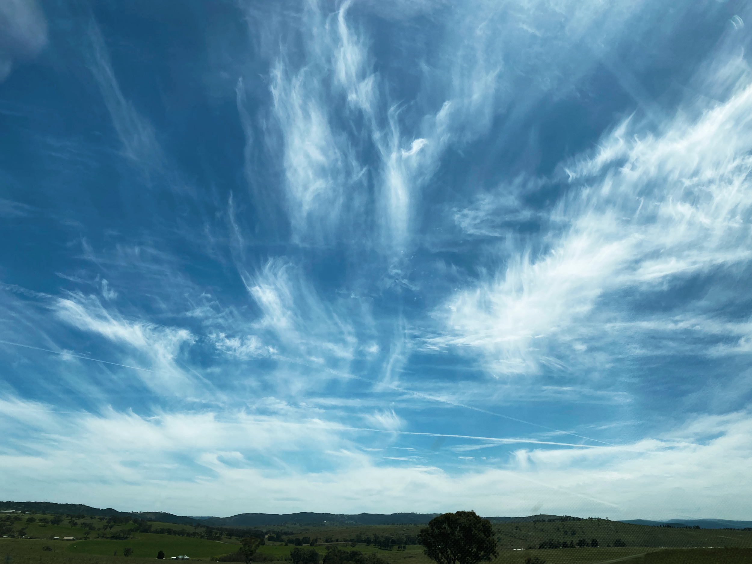 Cirrus fibratus and Cirrus uncinus, Bathurst, NSW. Photo cred: Jodie Blackshaw