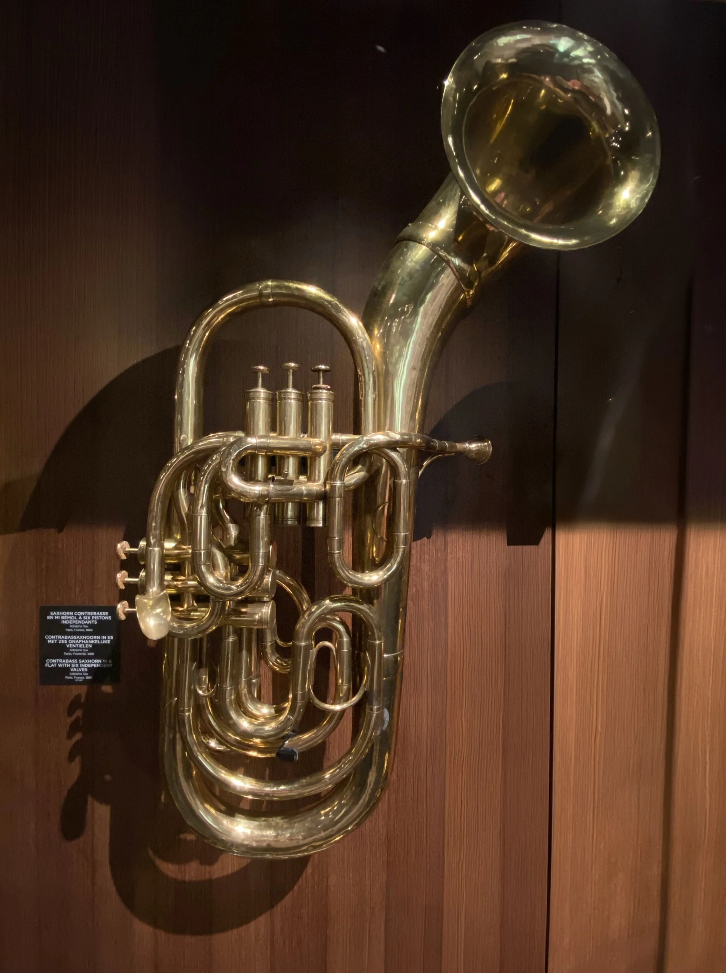 Front facing horn.jpg