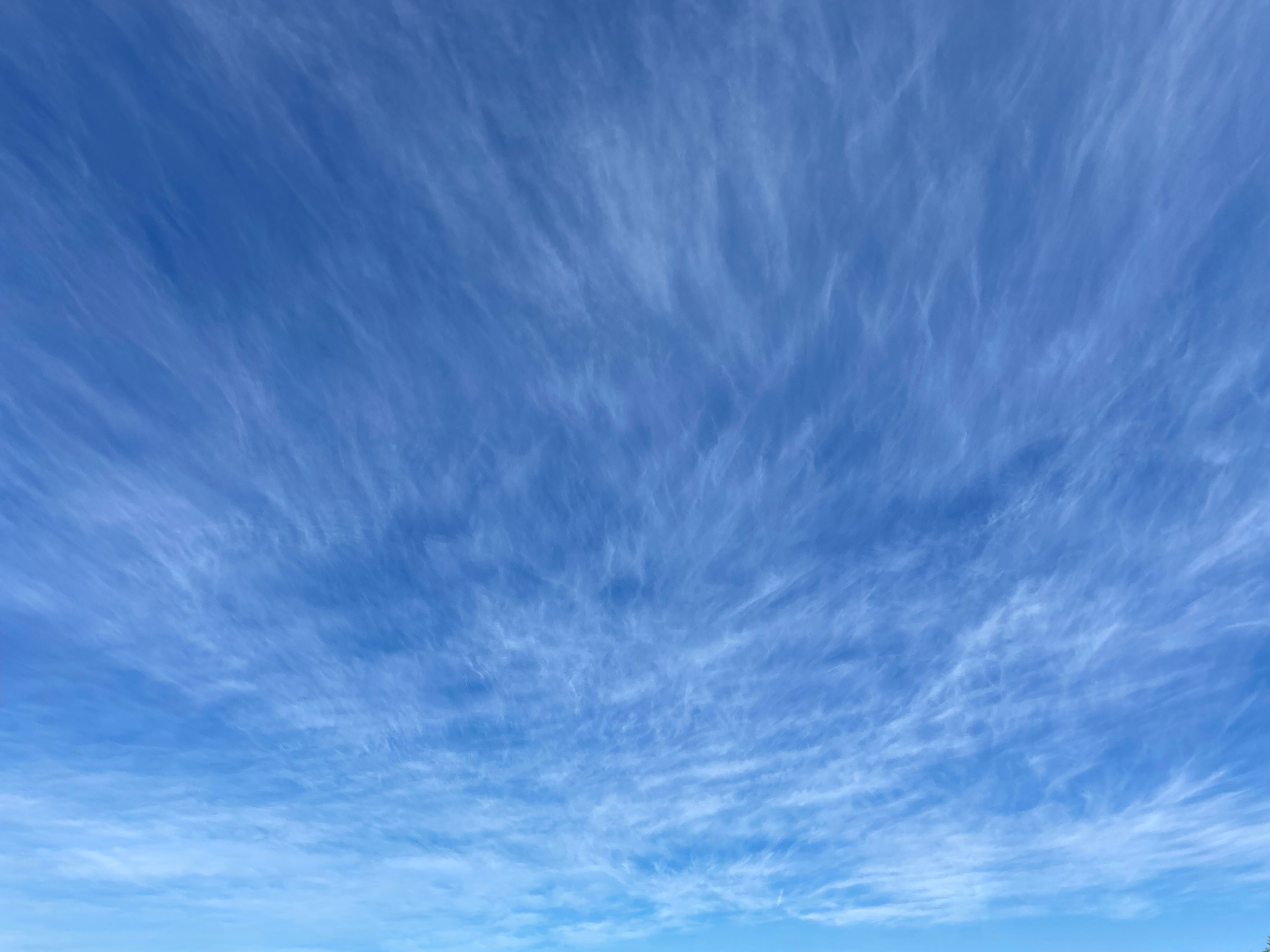 Cirrus fibratus over Orange, NSW. Photo cred: Jodie Blackshaw