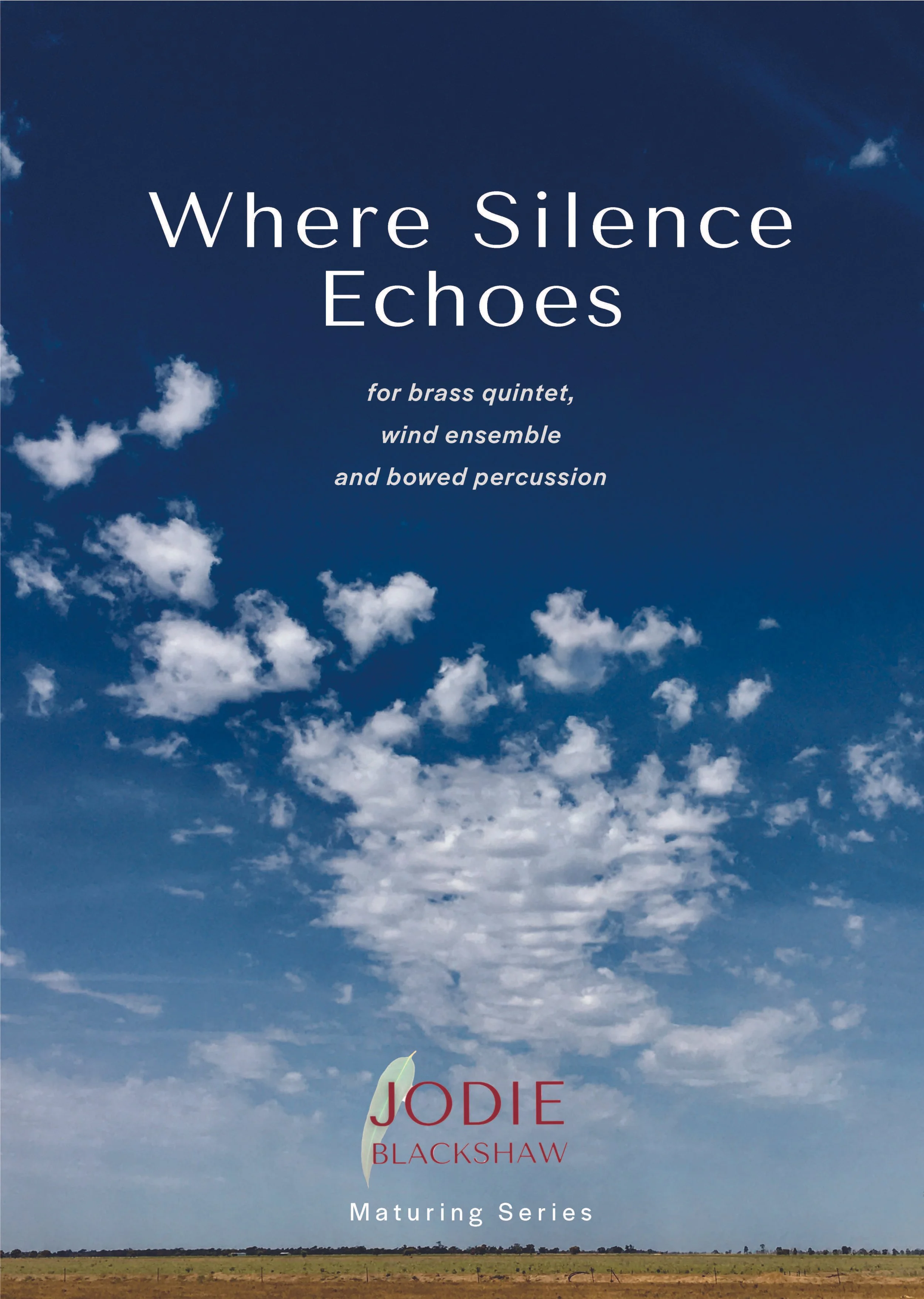 Where Silence Echoes