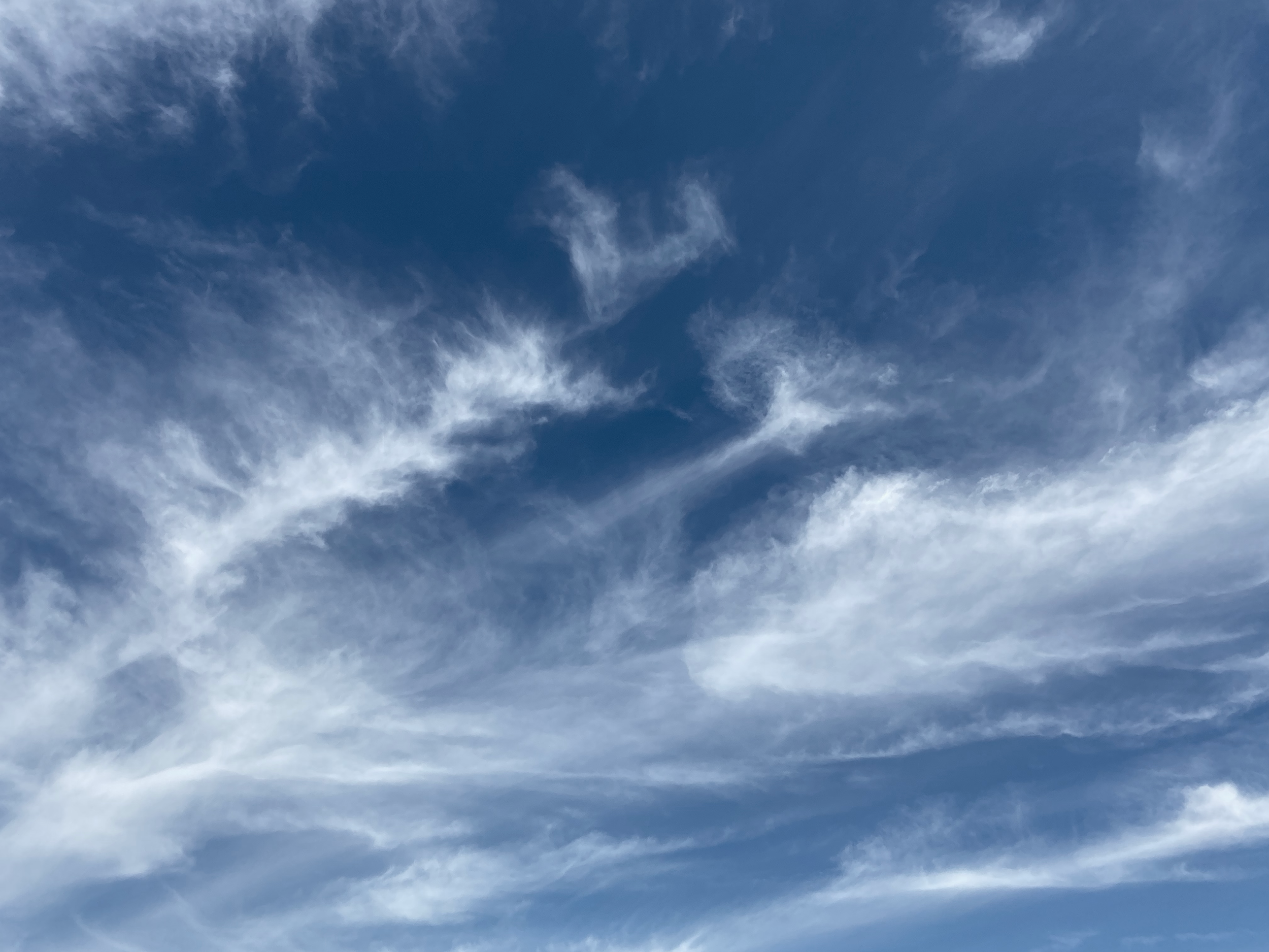 Cirrus Floccus over Orange, NSW. Photo cred. Jodie Blackshaw