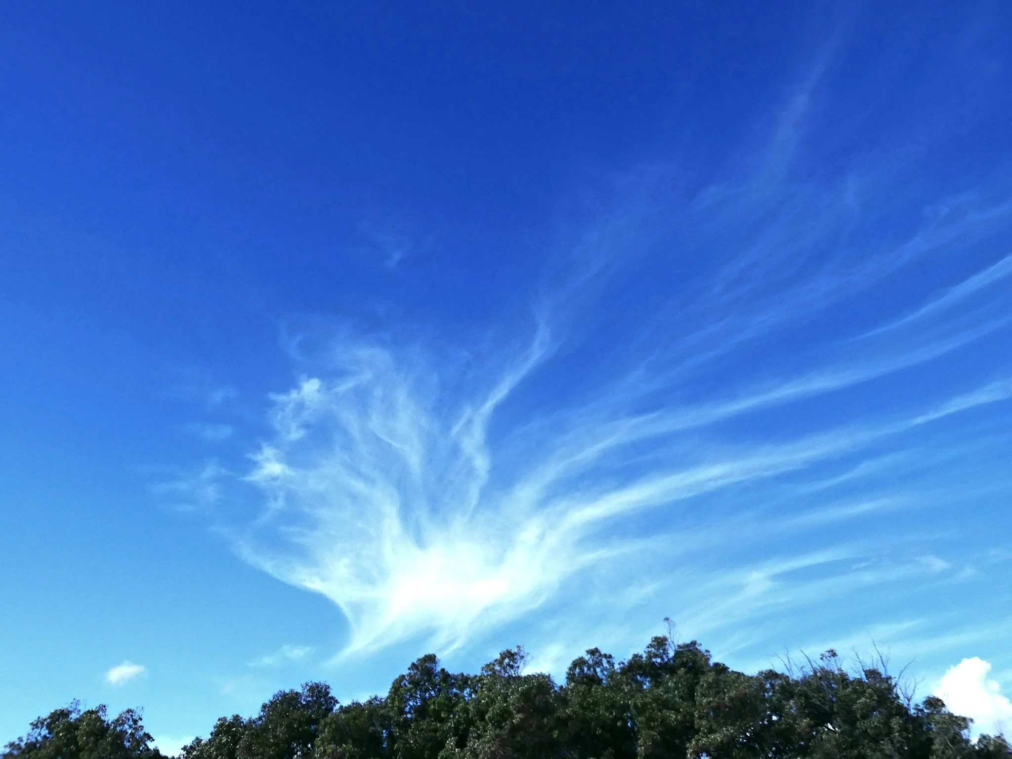 Cirrus fibratus over Spain. Photo cred: Jose Antonio Cerdan Pomares