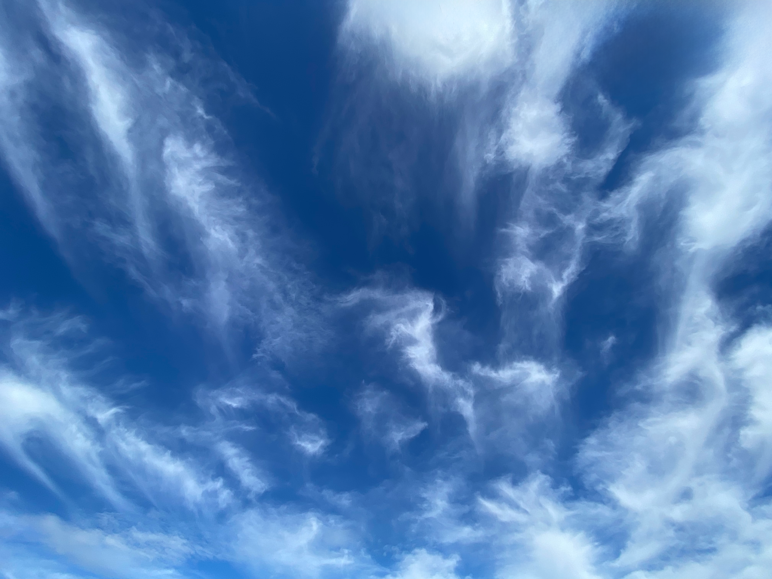 Cirrus intortus over Orange, NSW.  Photo cred: Jodie Blackshaw