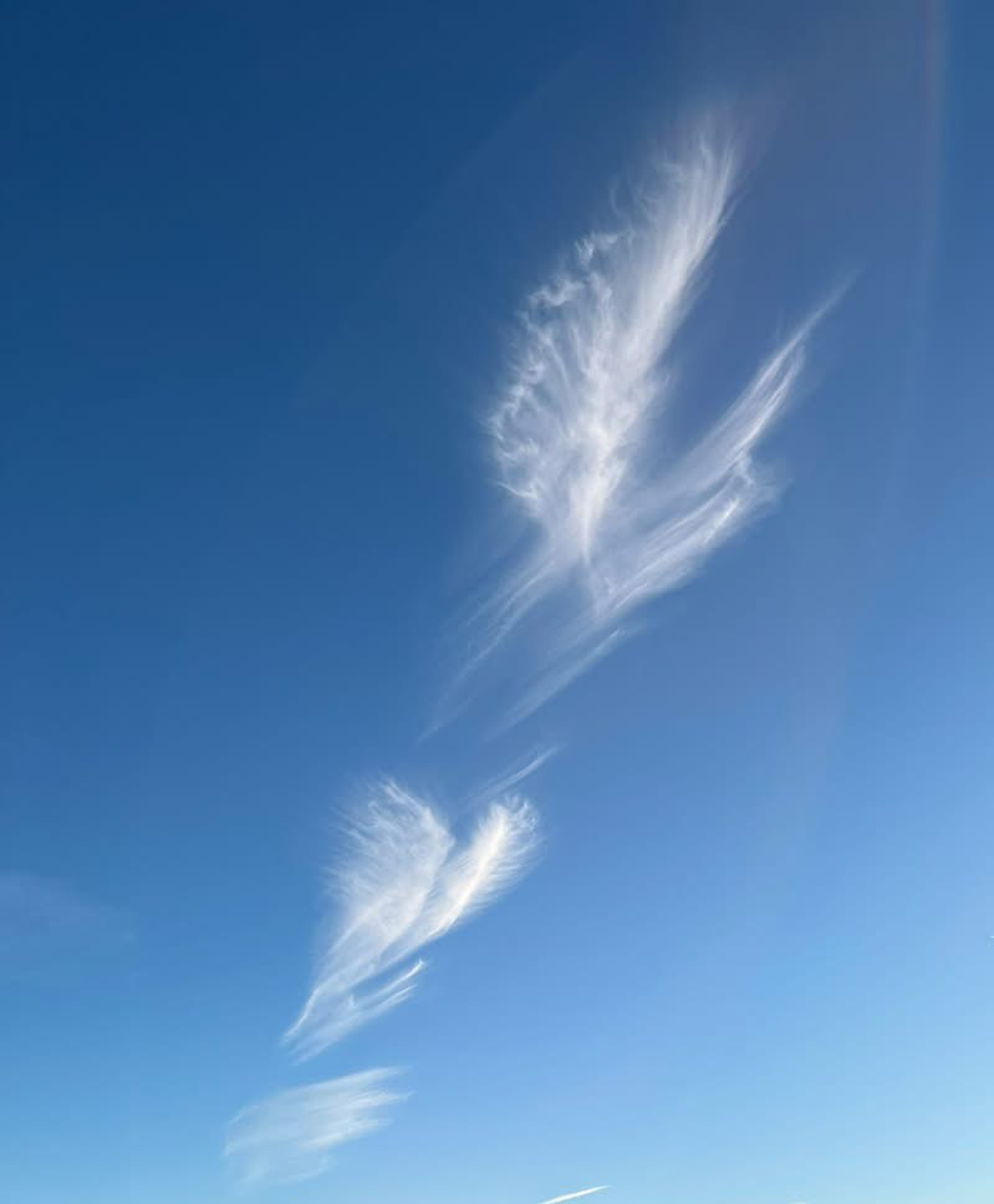 Cirrus intortus over Germany. Photo cred.: Petra Albers
