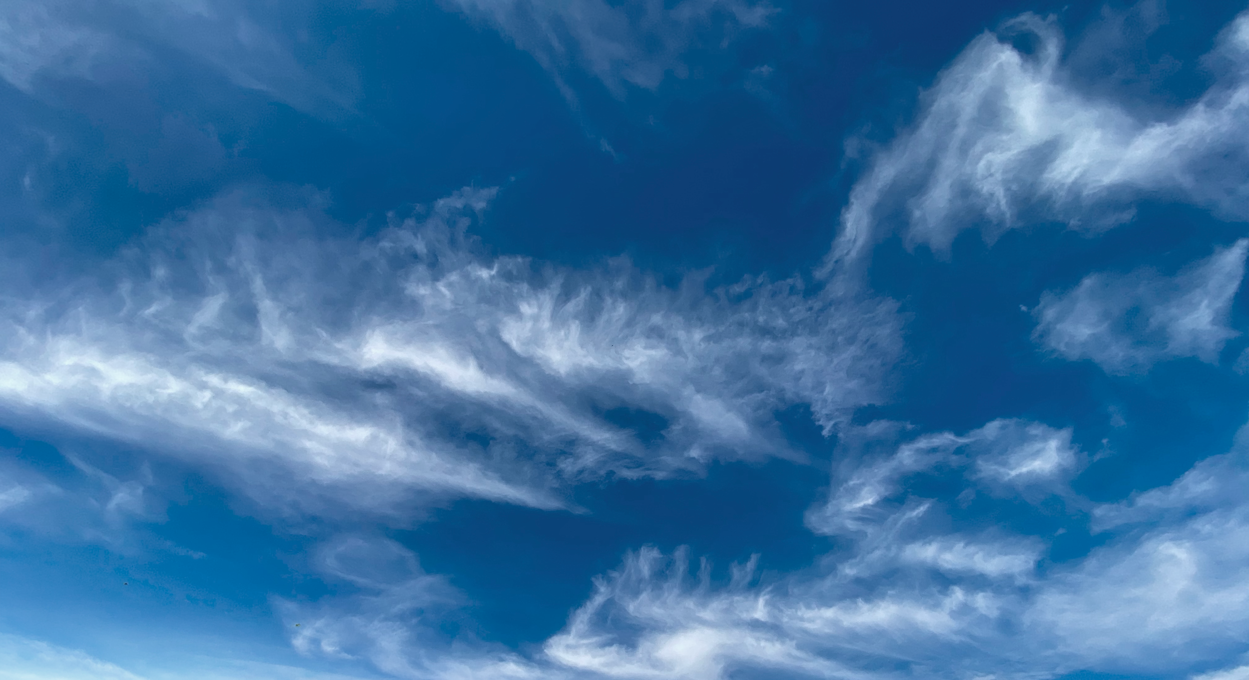 Cirrus intortus over Orange, NSW.  Photo cred: Jodie Blackshaw