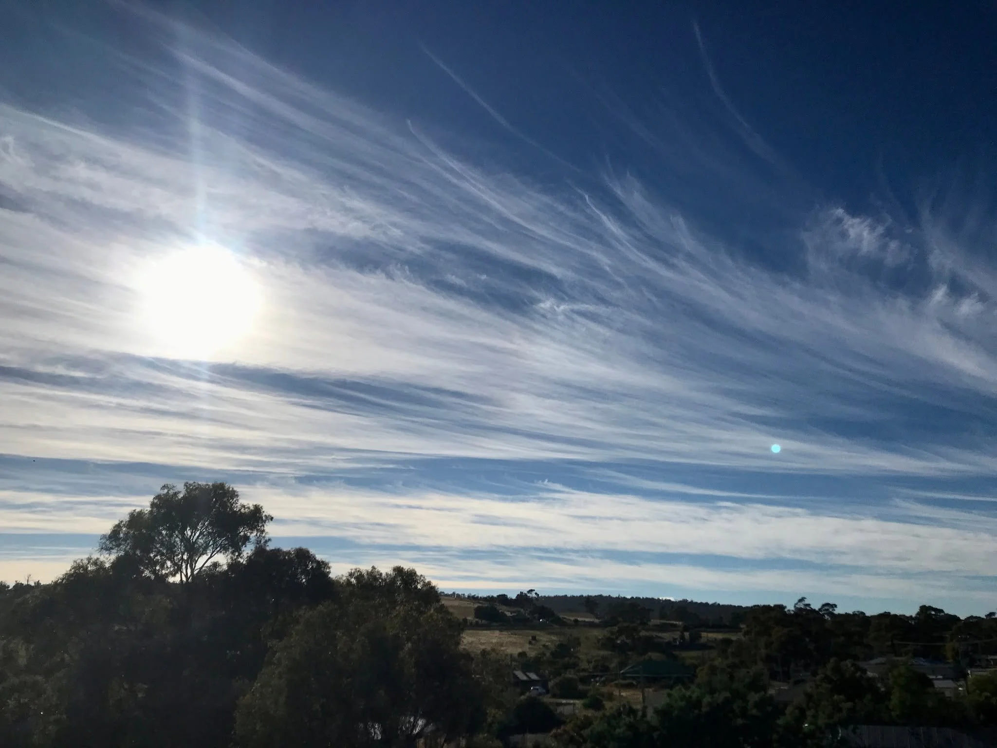 Cirrus fibratus over Tasmania, Australia. Photo cred.: Bill Grayson