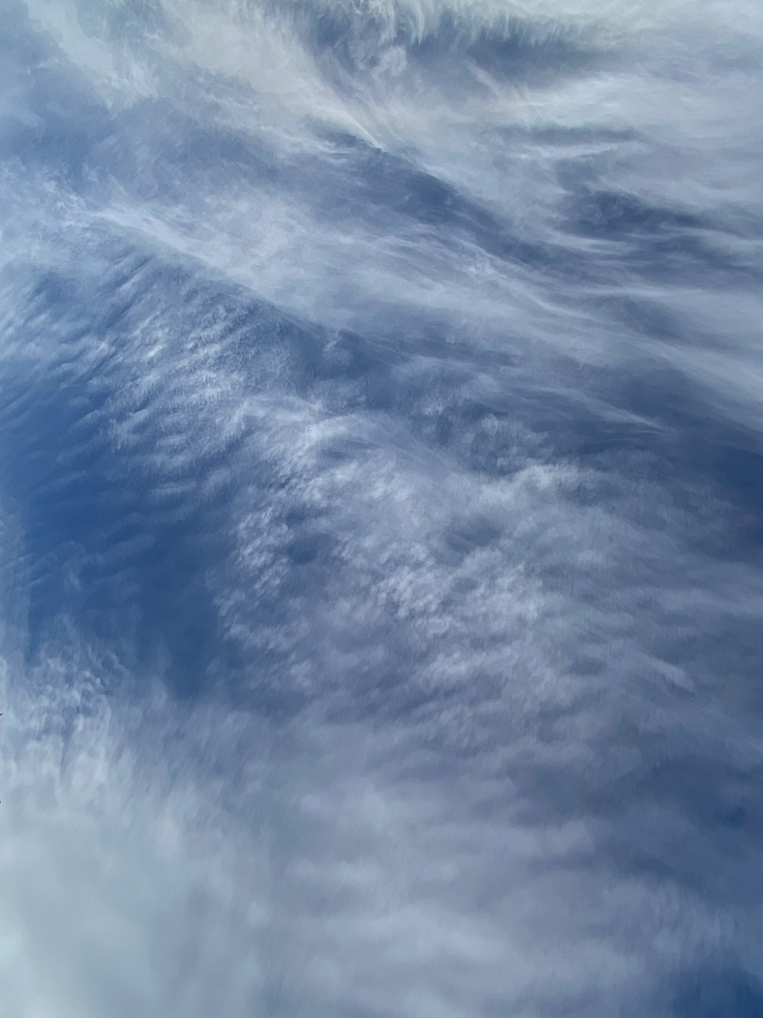 Cirrus fibratus over Orange, NSW, Australia. Photo cred: Jodie Blackshaw