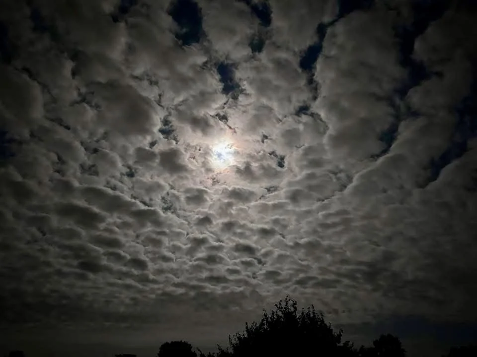 Cirrus floccus around the moon. Petrolia, ON, Canada. Photo cred. Cait Nishimura