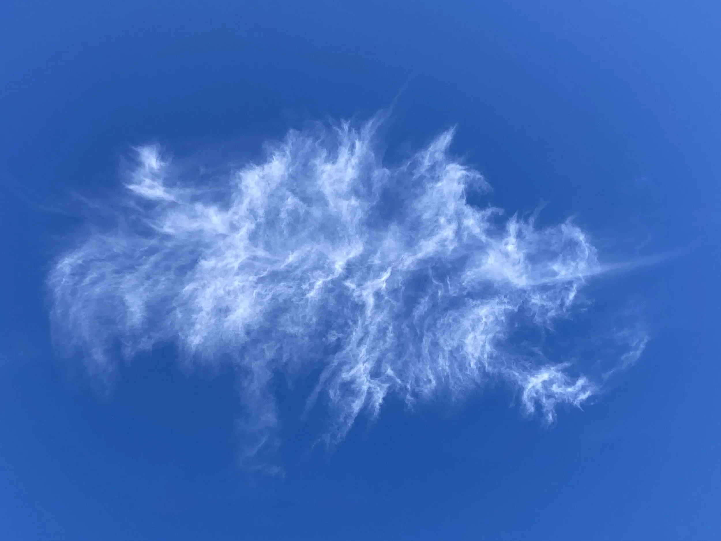 What do you see? Cirrus intortus over Orange, NSW.  Photo cred: Jodie Blackshaw