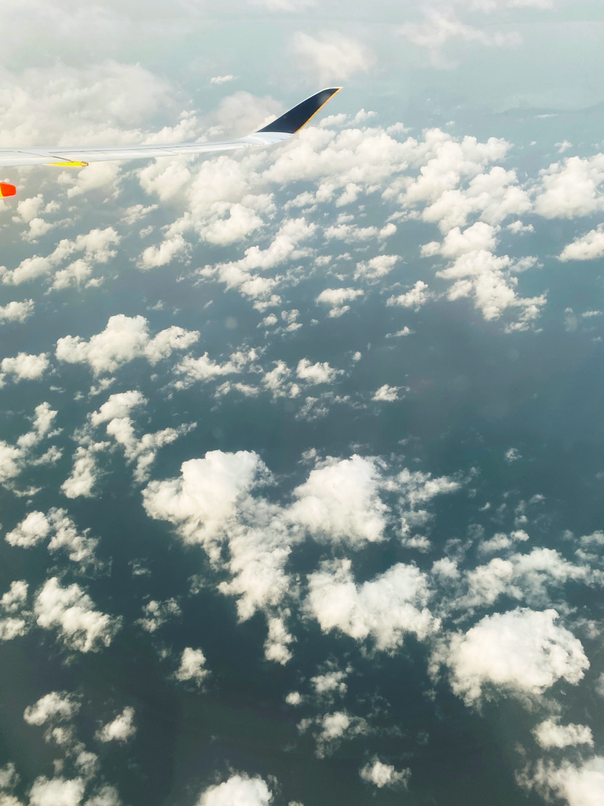 Cirrus floccus. Somewhere over Europe. Photo cred: David Worrall