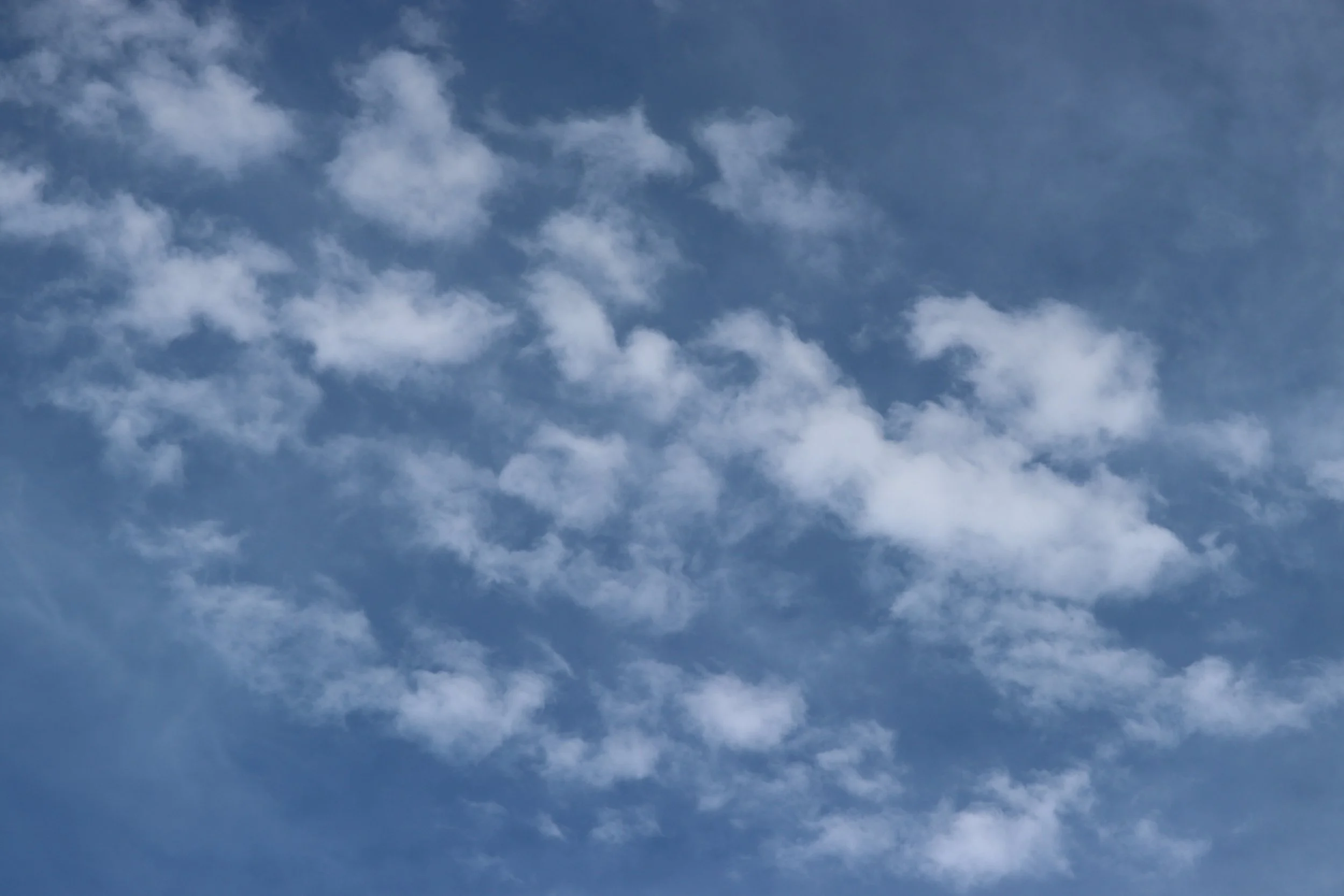 Cirrus Floccus, Eagle Point, Victoria. Photo cred. Jodie Blackshaw