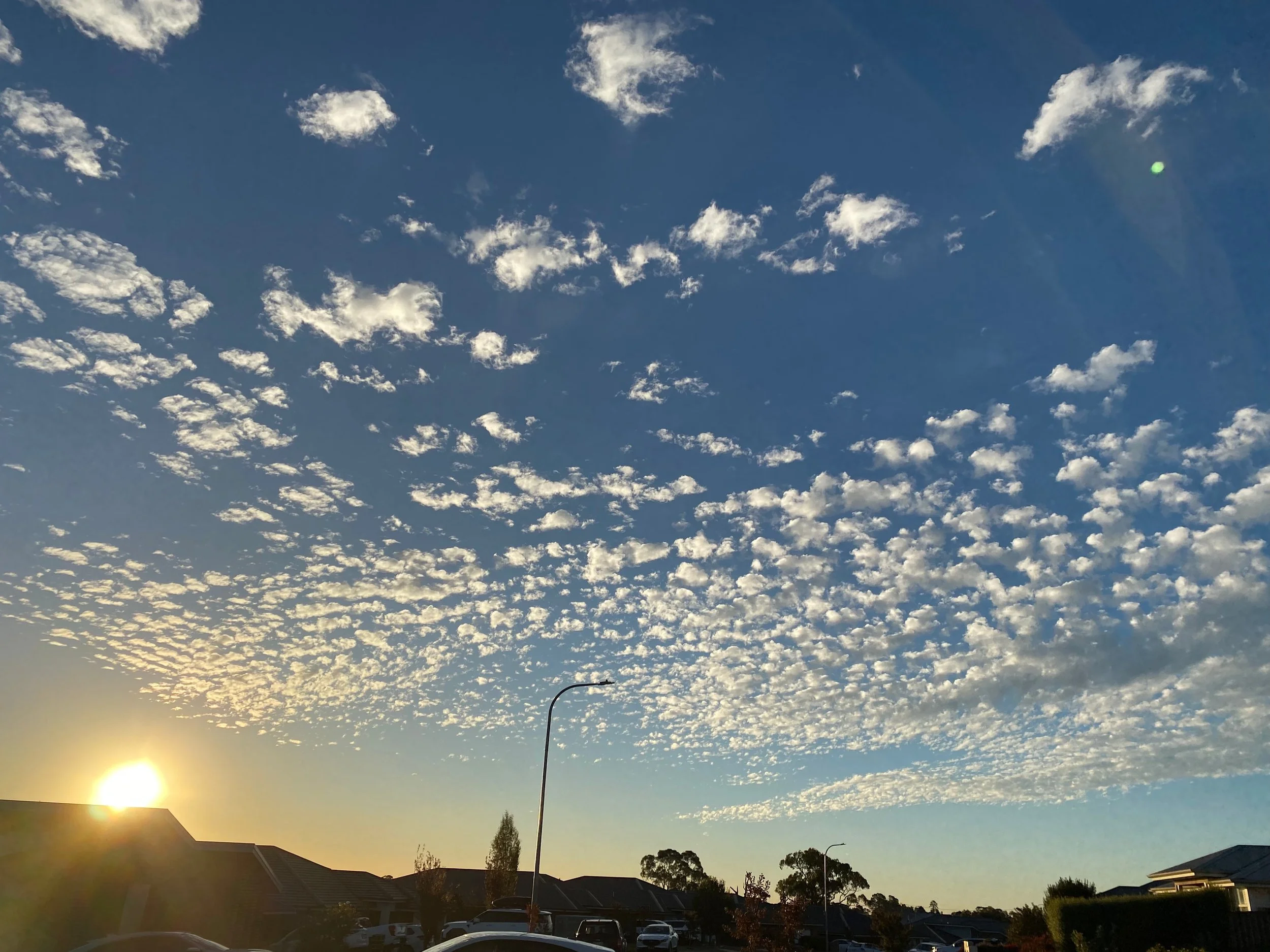 Cirrus floccus around the sun. Orange NSW. Photo cred. Tilly Worrall