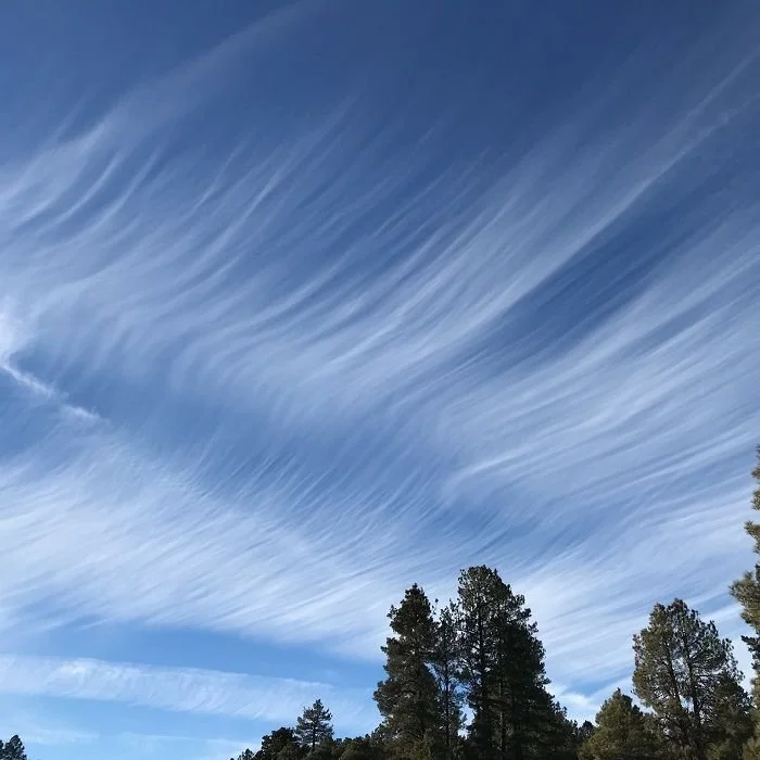 Cirrus fibratus. Image courtesy of the International Cloud Atlas. 