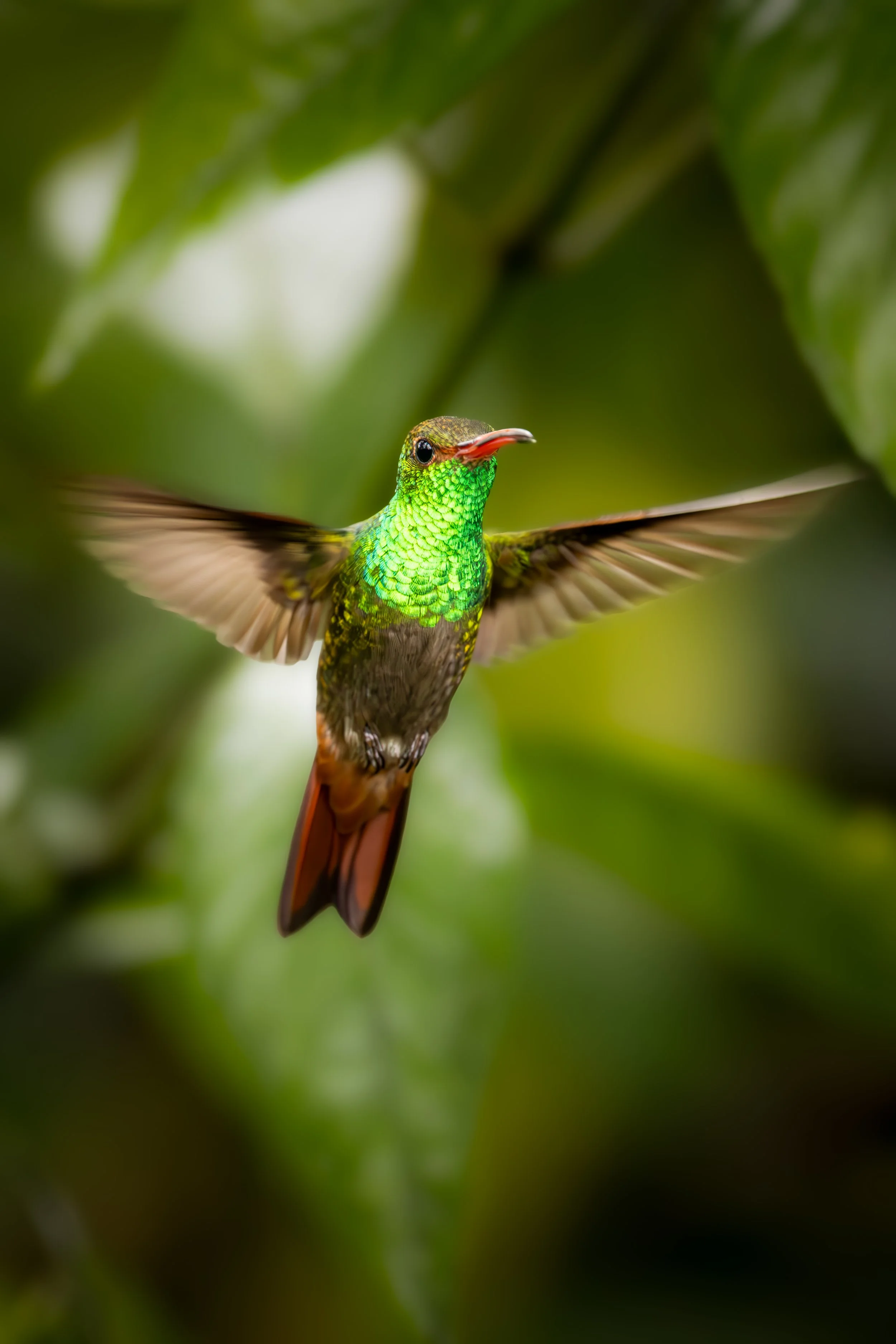 061A6640-Enhanced-NR-Edit.jpg