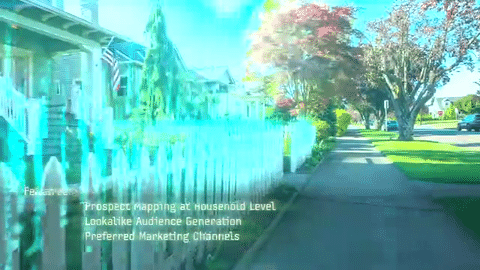 Motus Consumer Insights