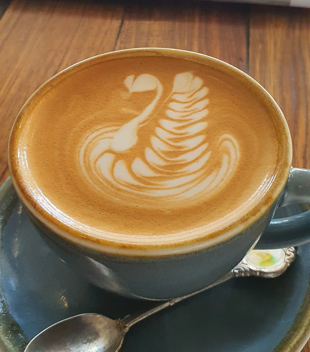 Coffee Plantations Coffee in Cairns Coffee Plantations Coffee in Cairns