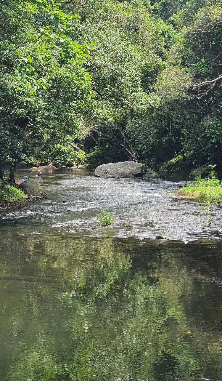 Freshwater Creek Trail Redlynch Valley Cairns — Coffee in Cairns